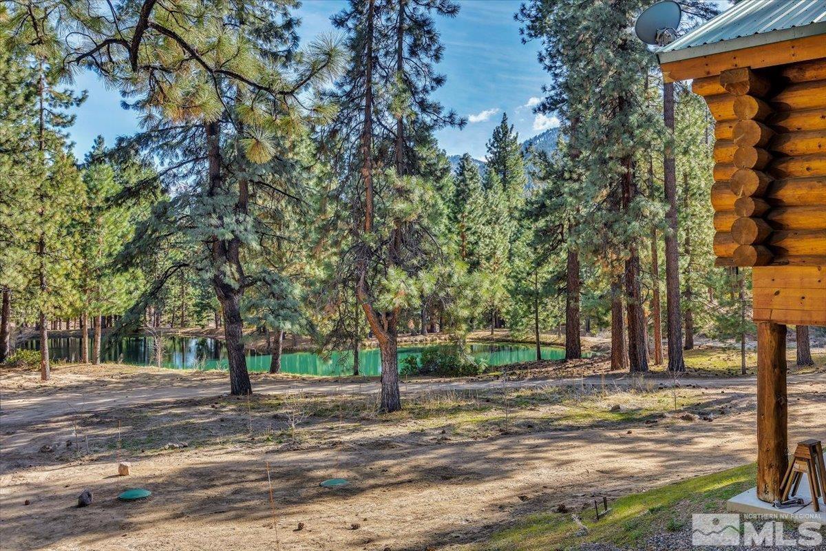 93 Jeffrey Pine Ln Property Photo 38
