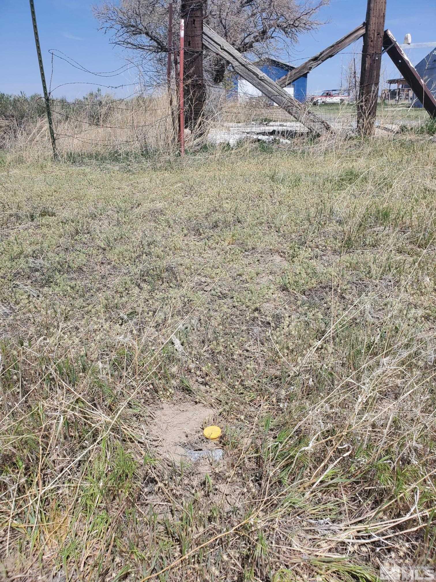 009-040-21 Muddy Road Property Photo 6