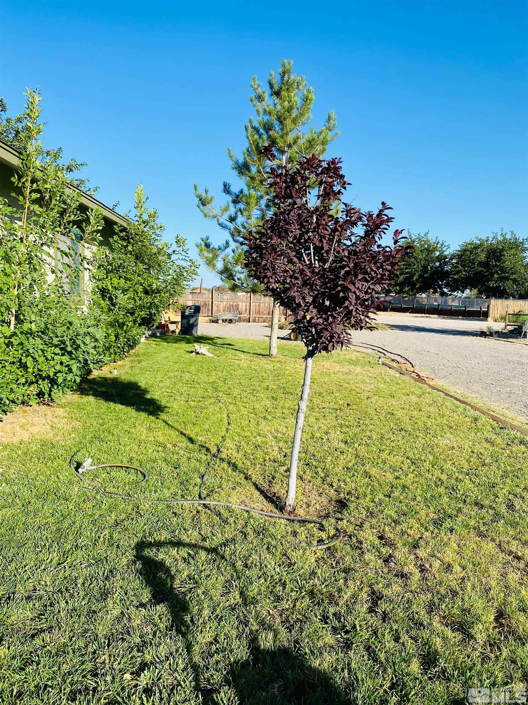 2618 Rice Property Photo