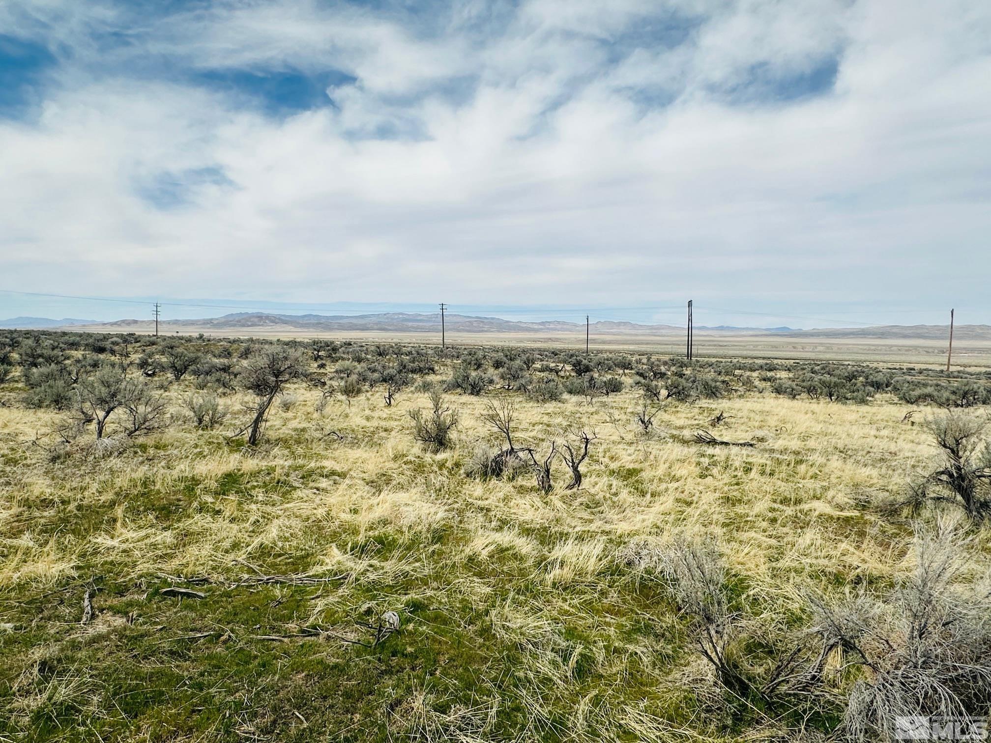 21785 Kush Court Property Photo