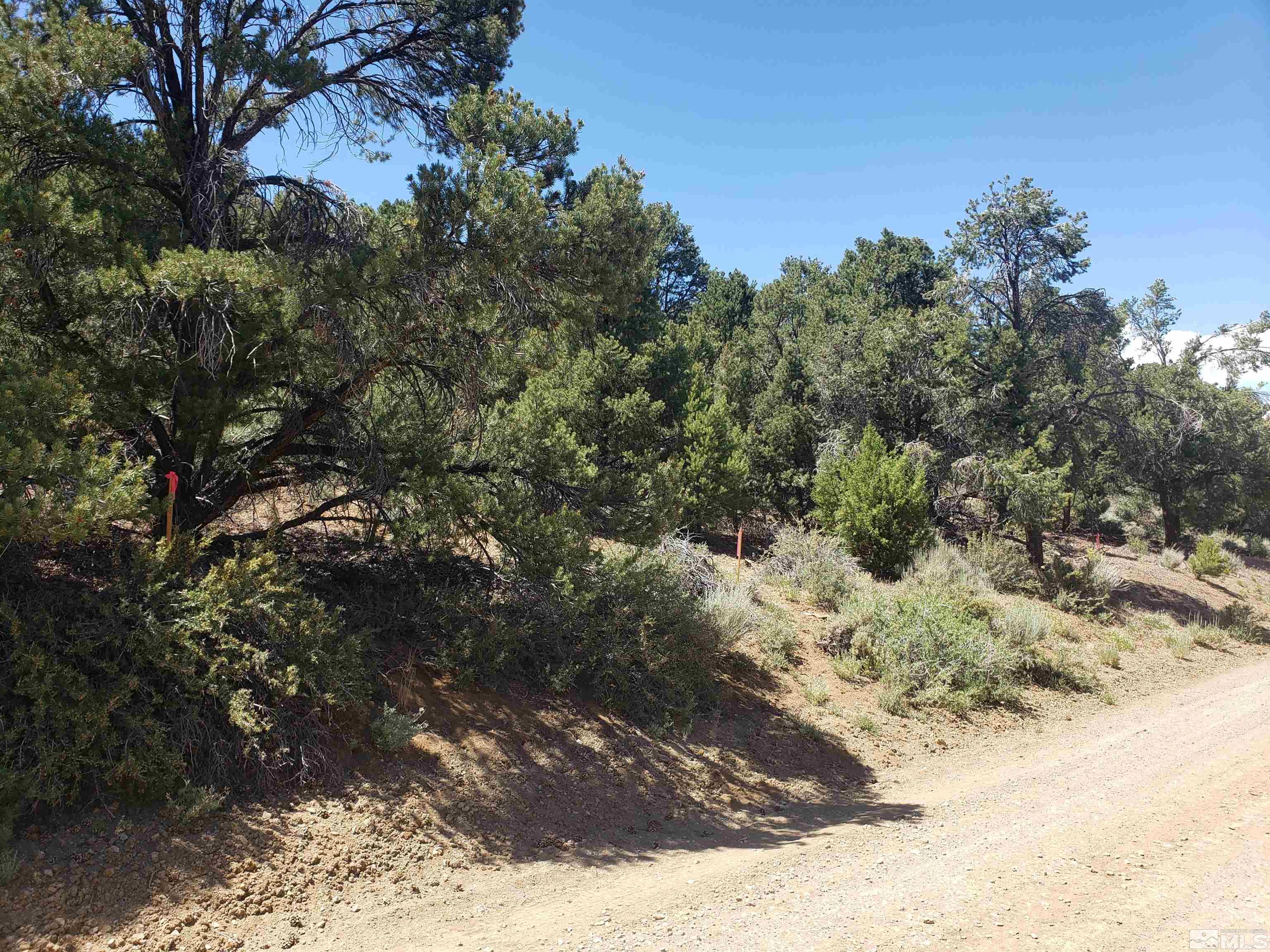 21741 Clemens Property Photo