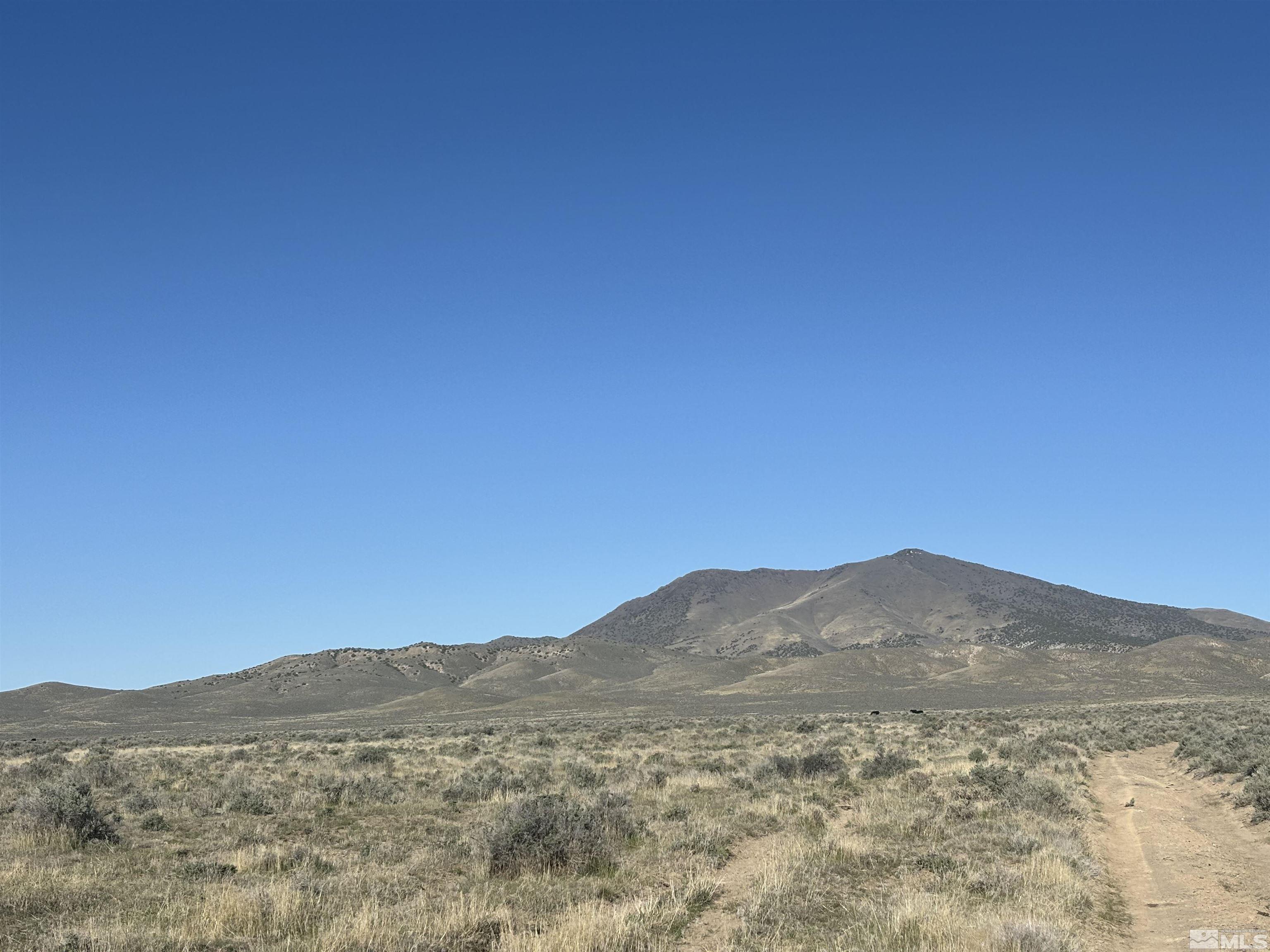 641 Acres Blue Mountain Property Photo
