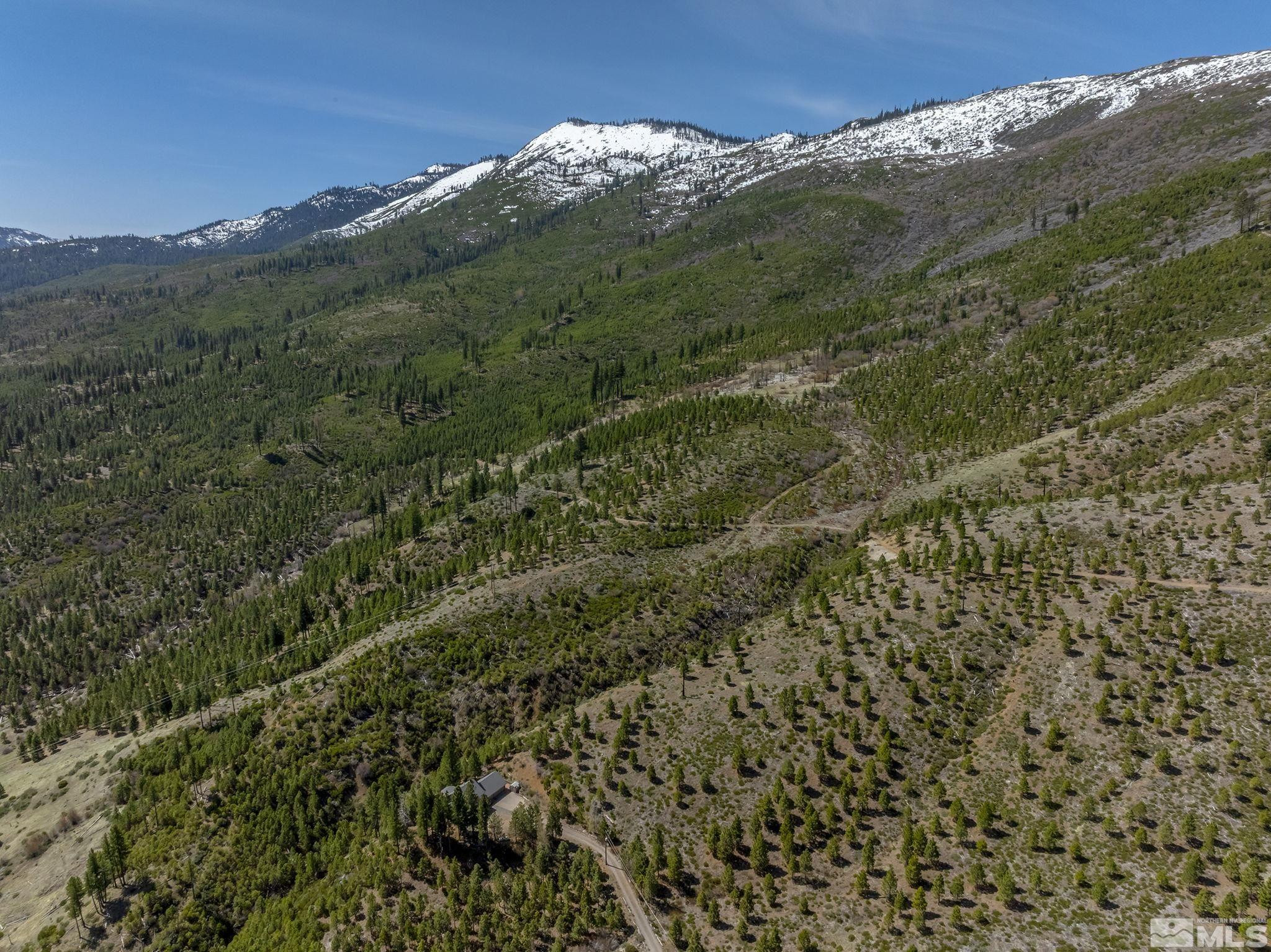 1020 Sunrise Creek Rd Property Photo 8