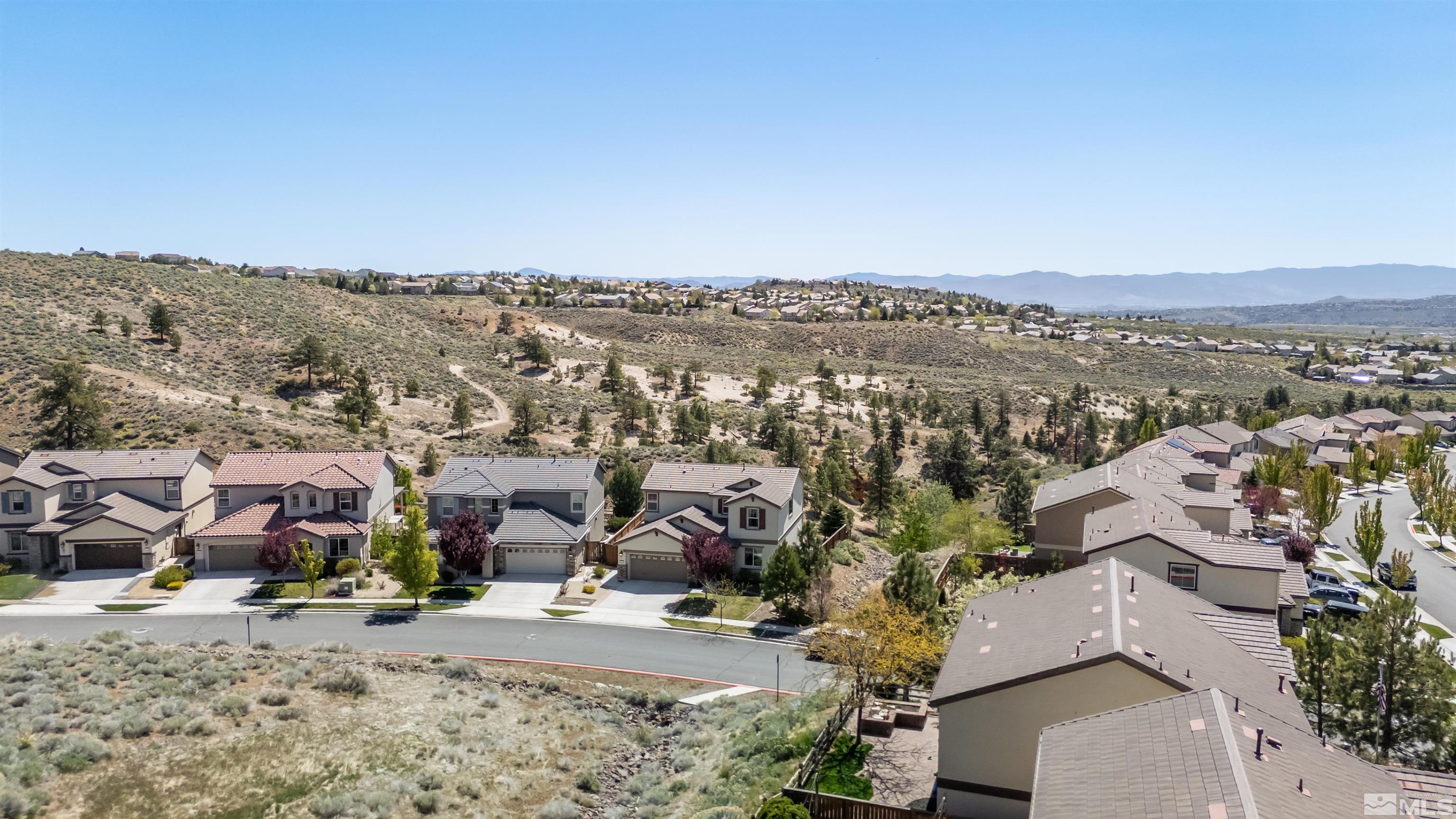 2720 Peavine Pines Court Property Photo 7