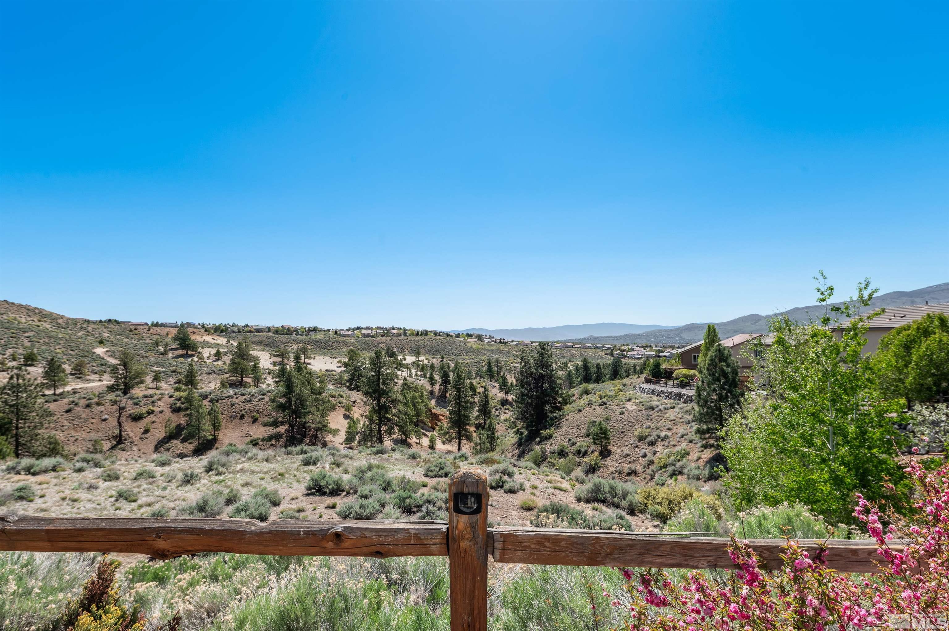 2720 Peavine Pines Court Property Photo 35
