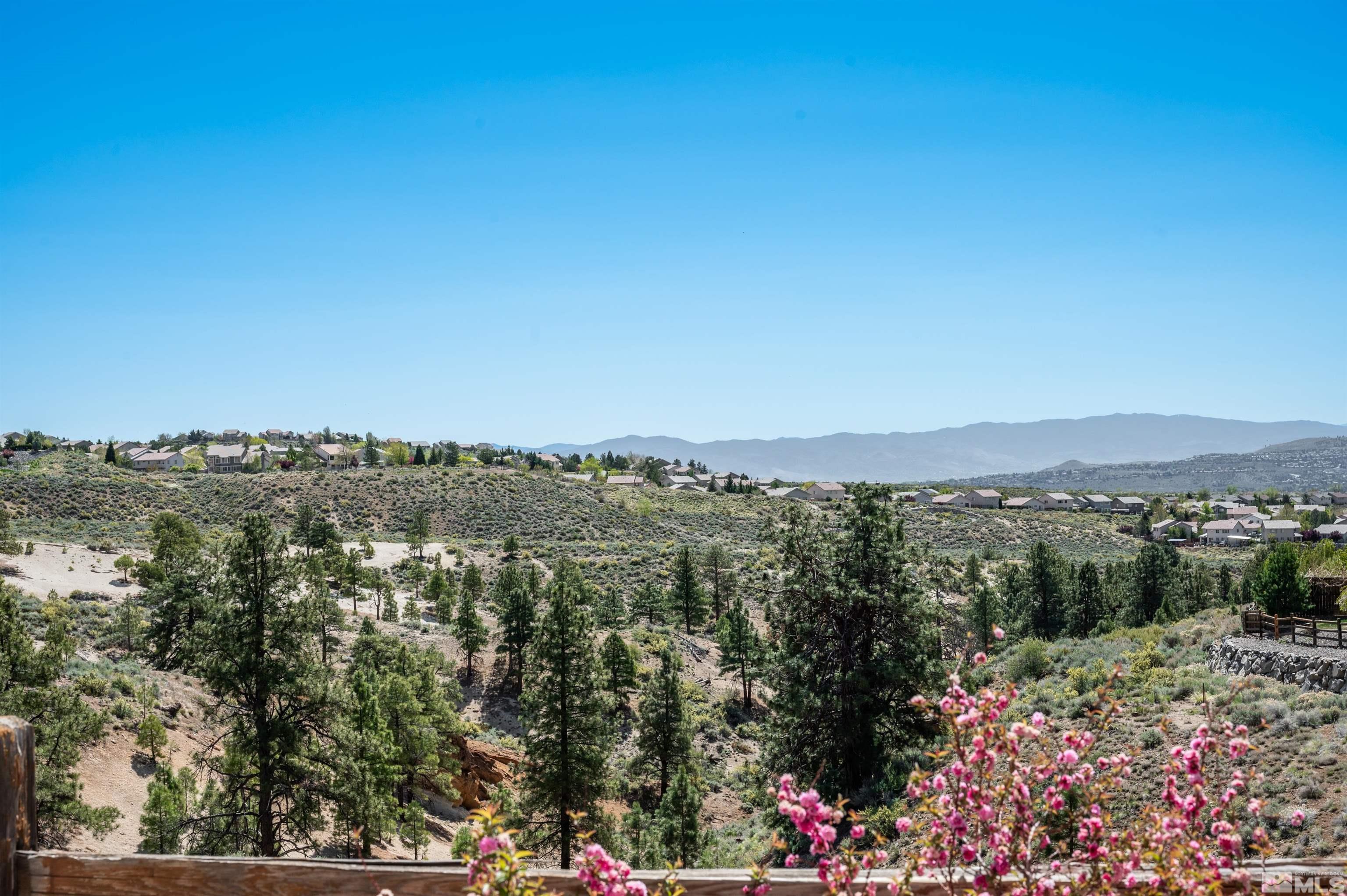 2720 Peavine Pines Court Property Photo 37