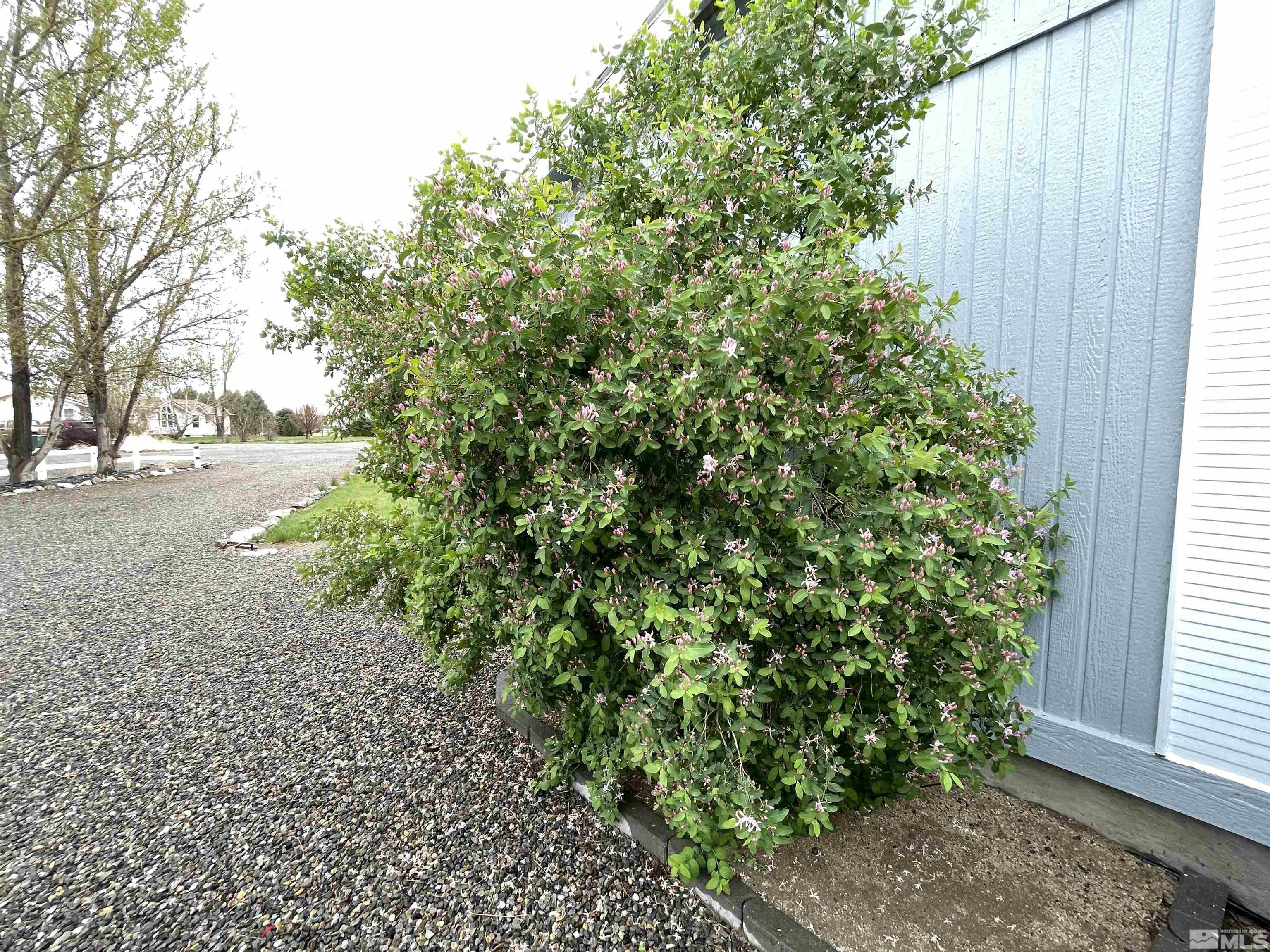 3075 Cougar Ct Property Photo 23