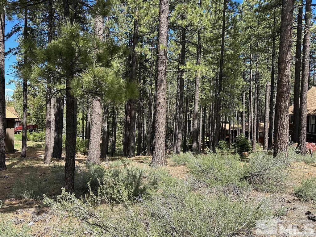 546 Pleasant Valley Road Property Photo 2