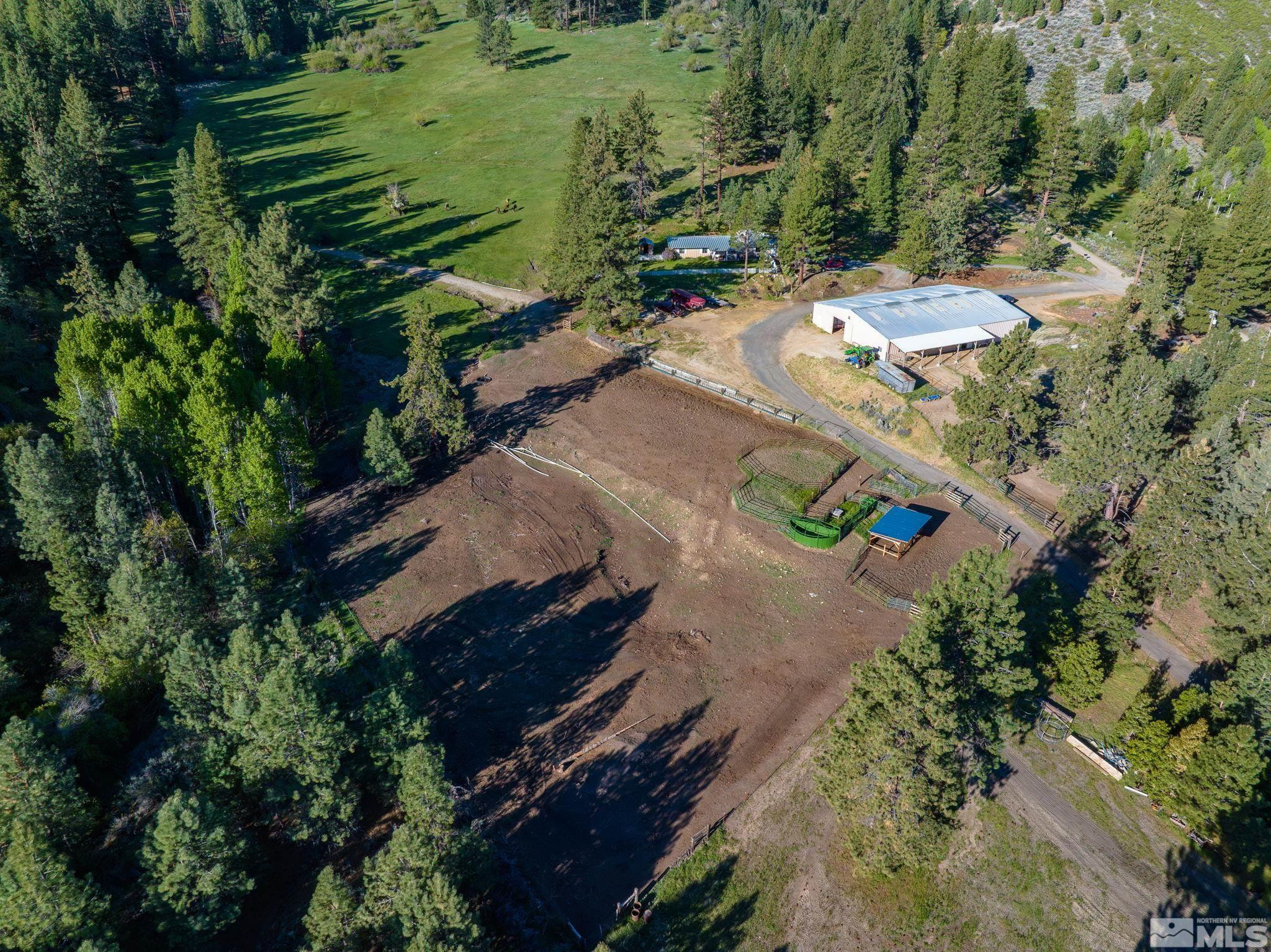 6995 Franktown Road Property Photo 10