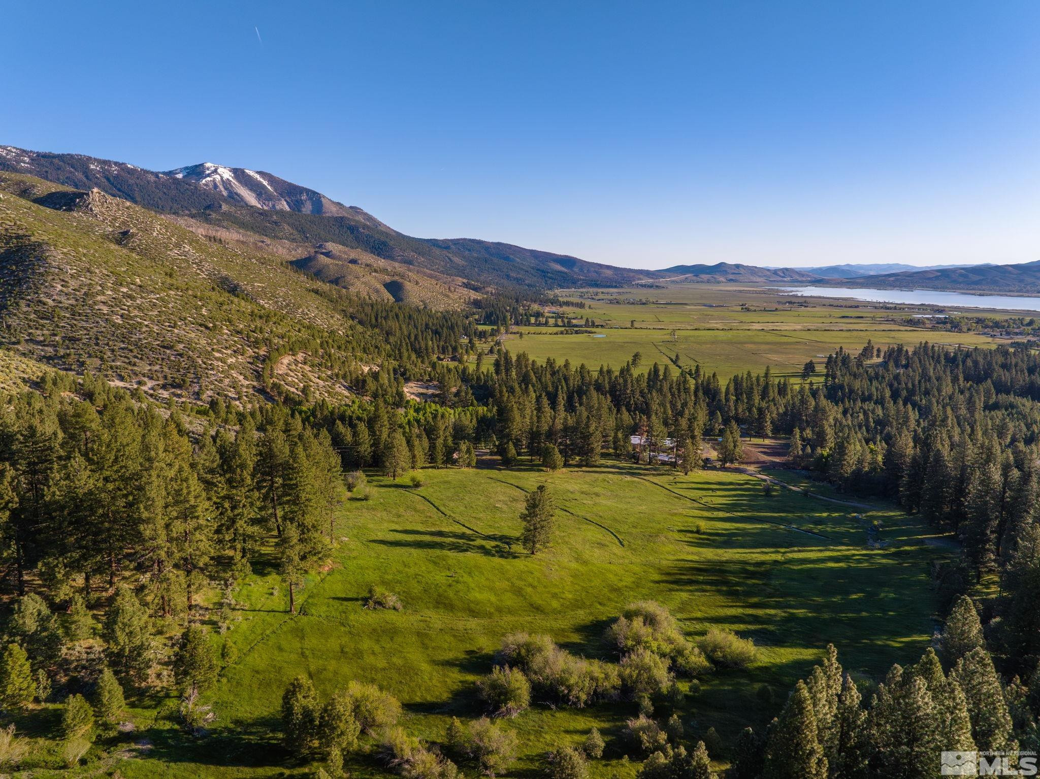 6995 Franktown Road Property Photo 21