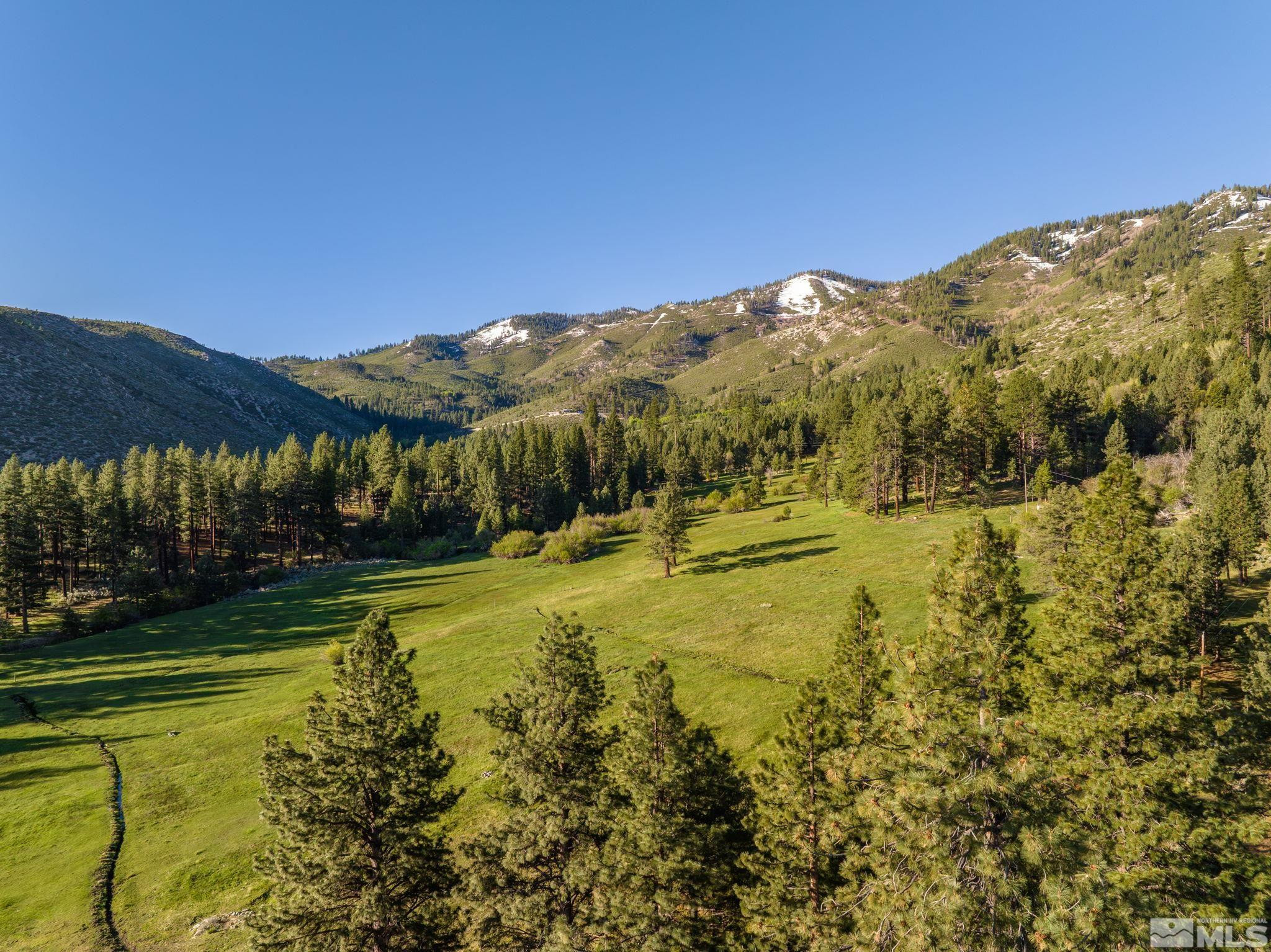 6995 Franktown Road Property Photo 26