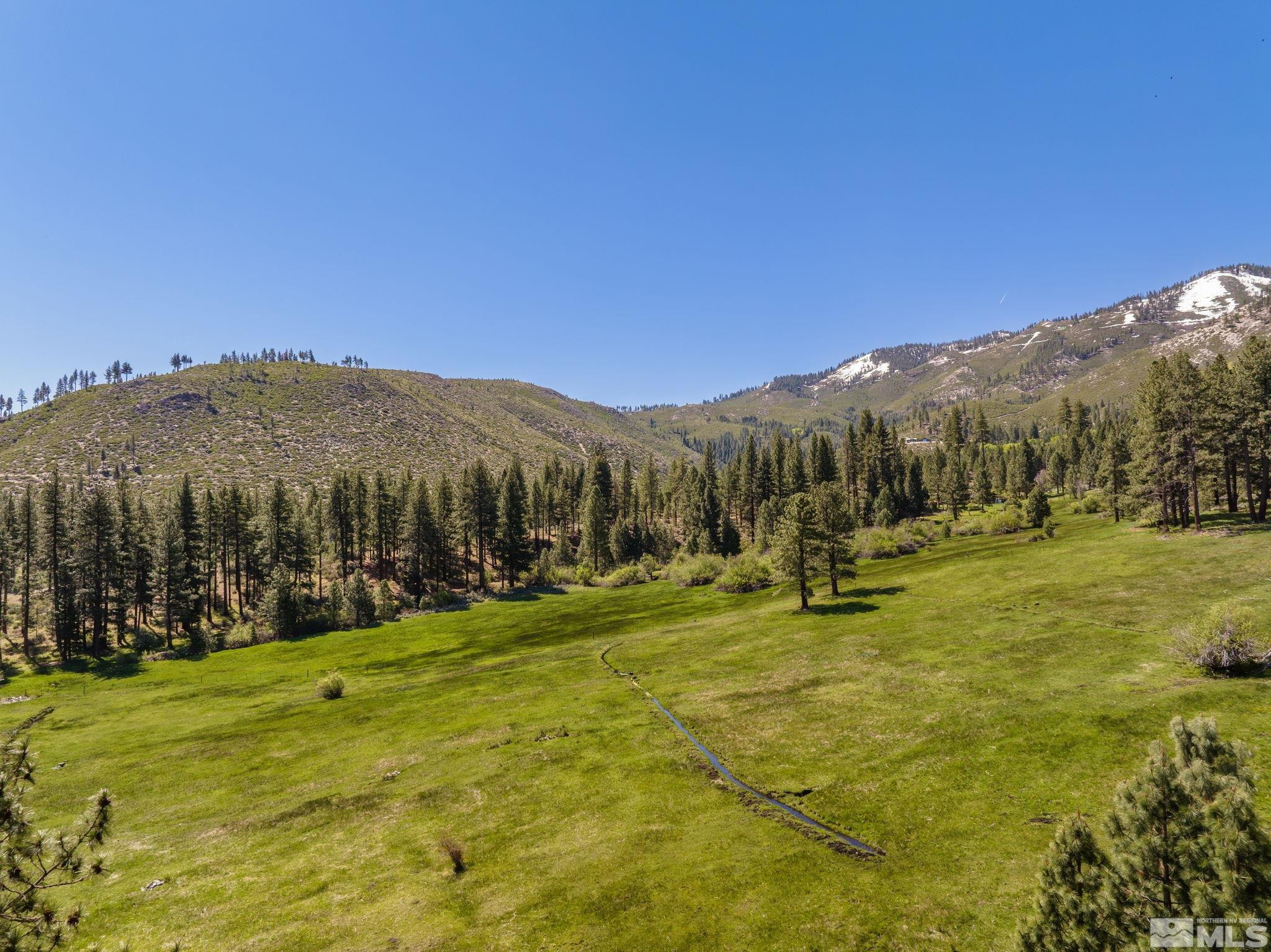 6995 Franktown Road Property Photo 27