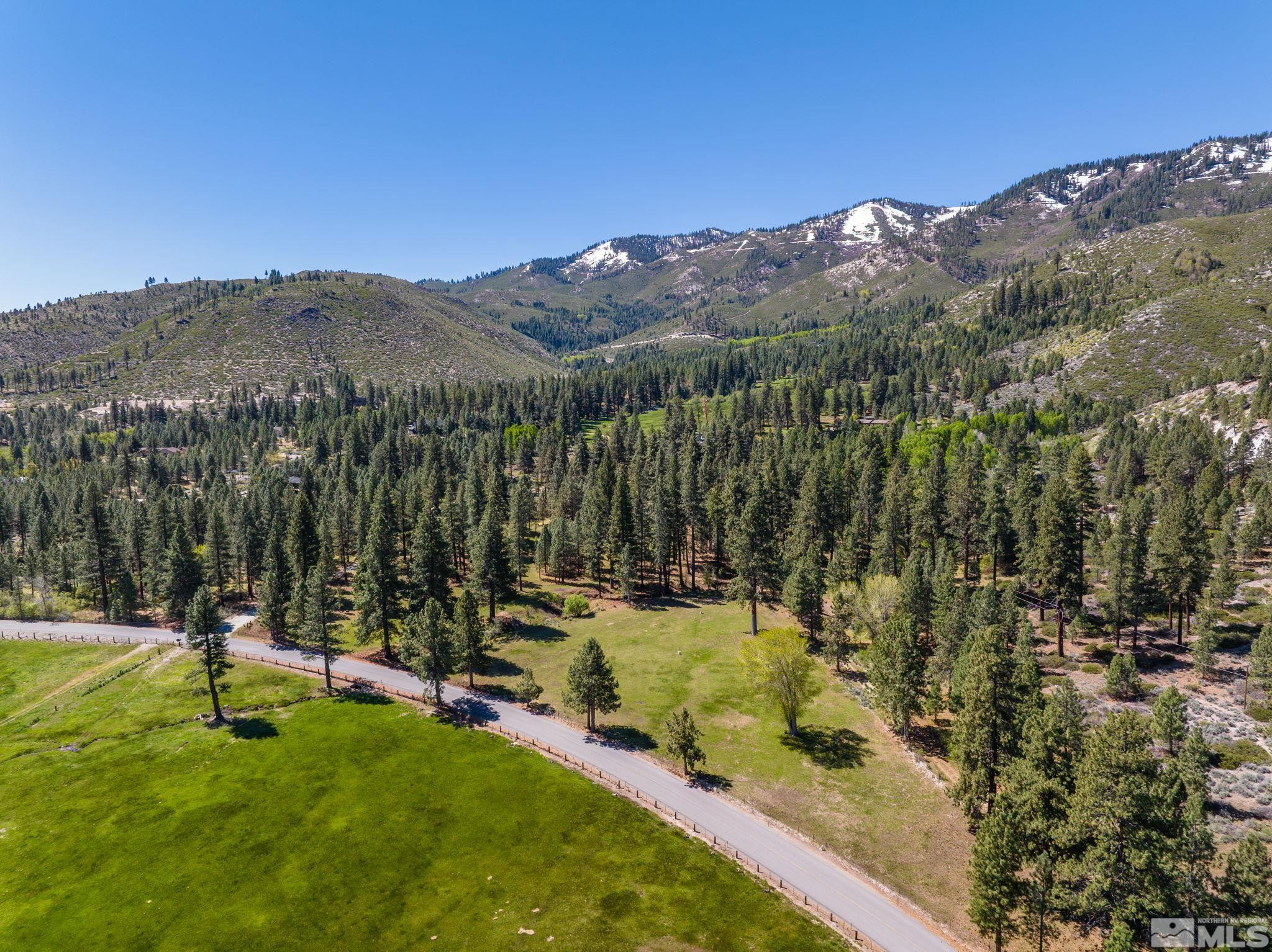 6995 Franktown Road Property Photo 28