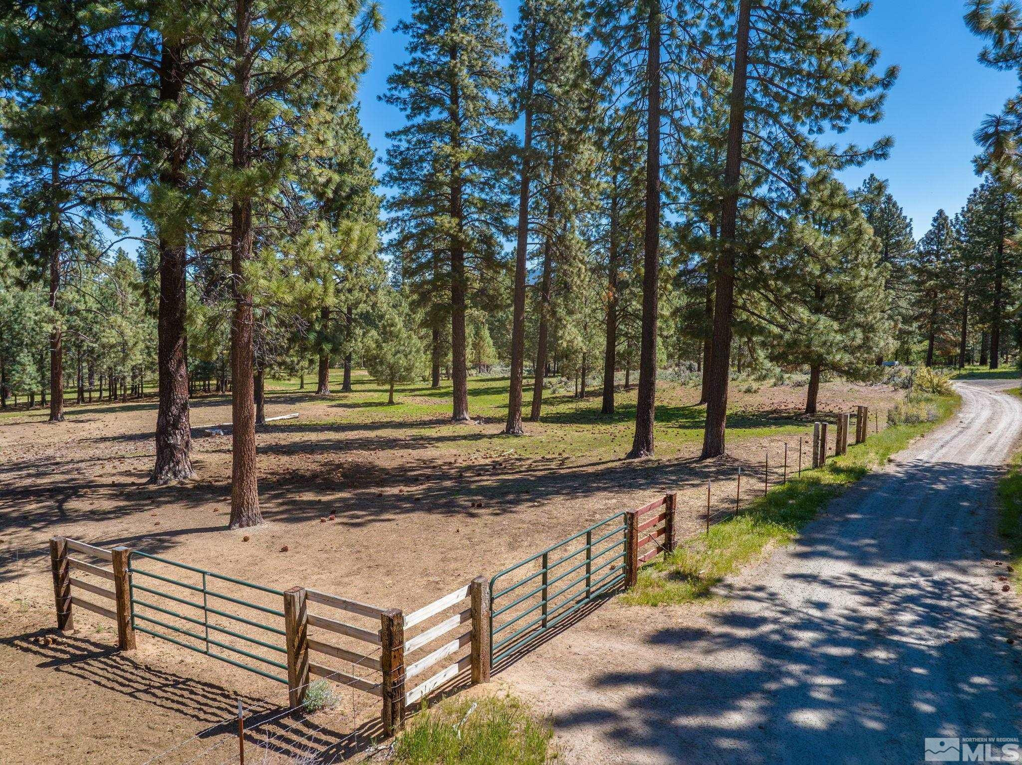 6995 Franktown Road Property Photo 30