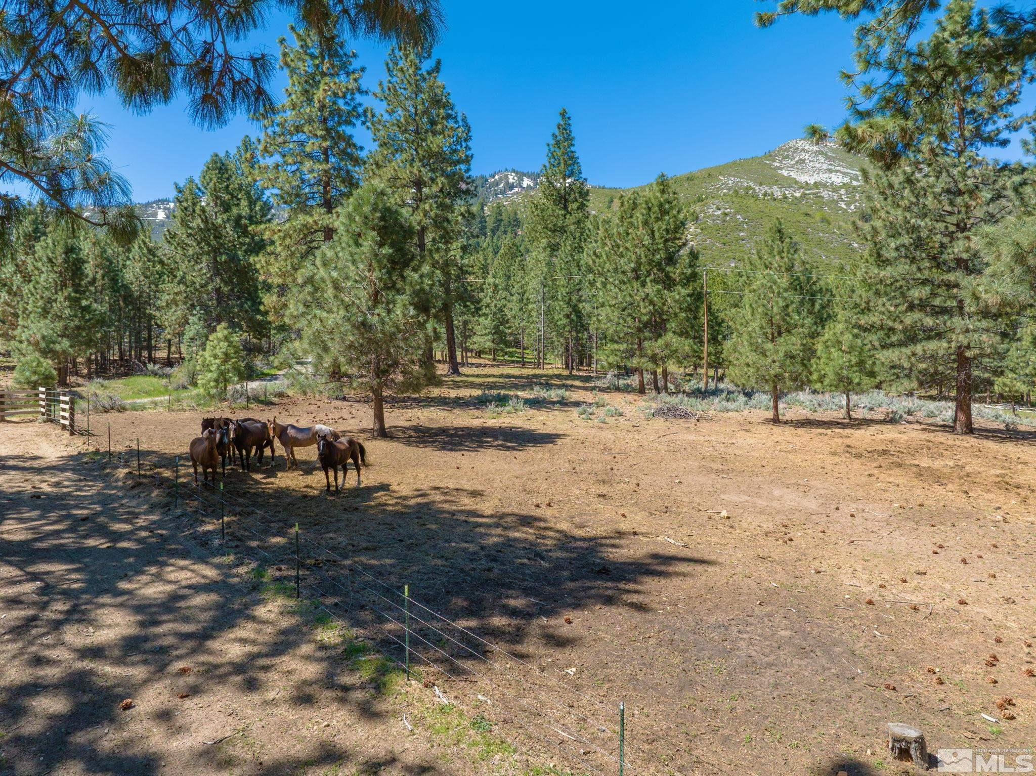 6995 Franktown Road Property Photo 31