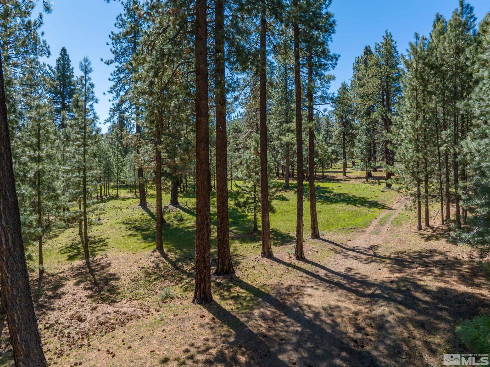 6995 Franktown Road Property Photo 32