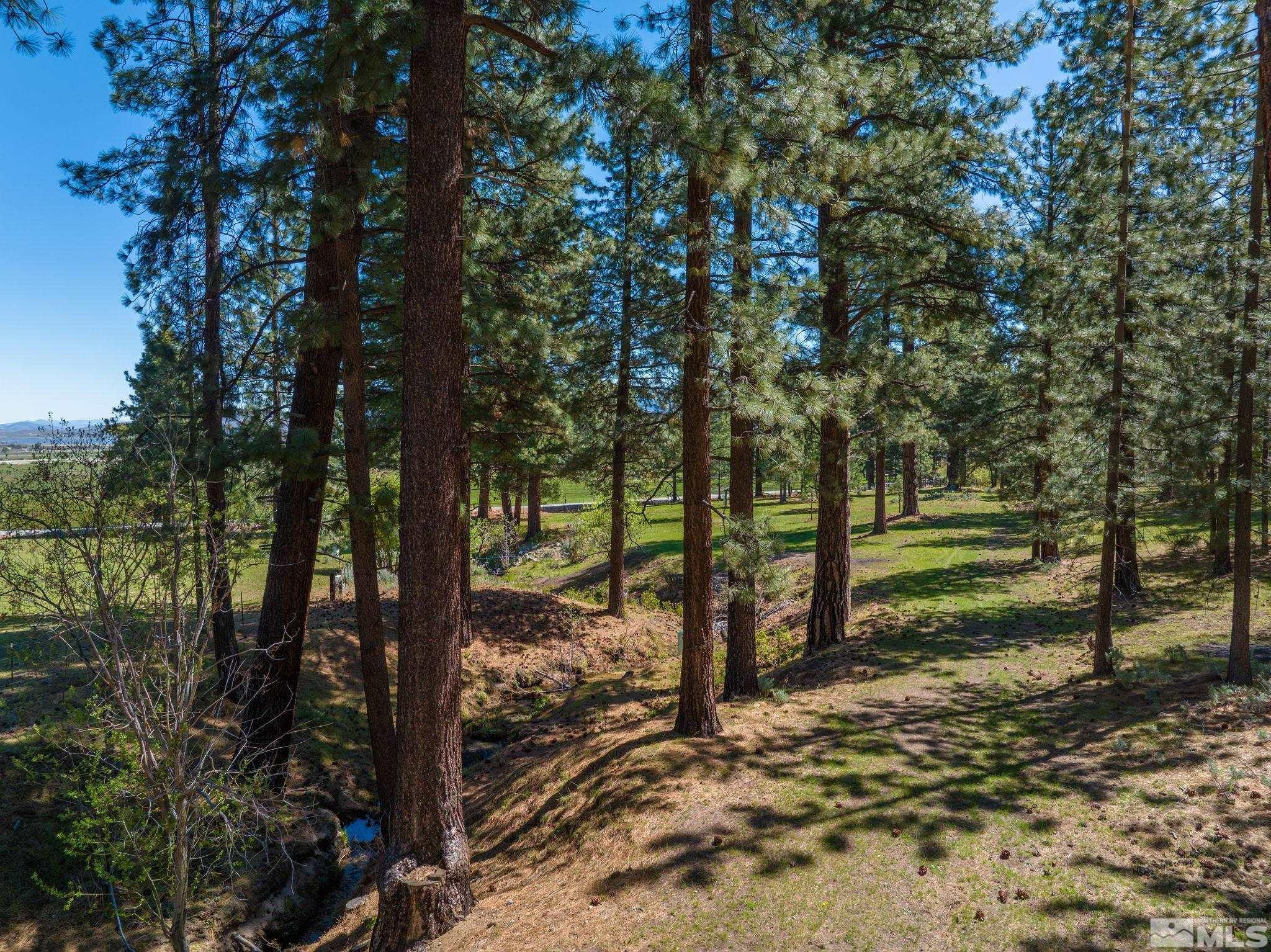 6995 Franktown Road Property Photo 33