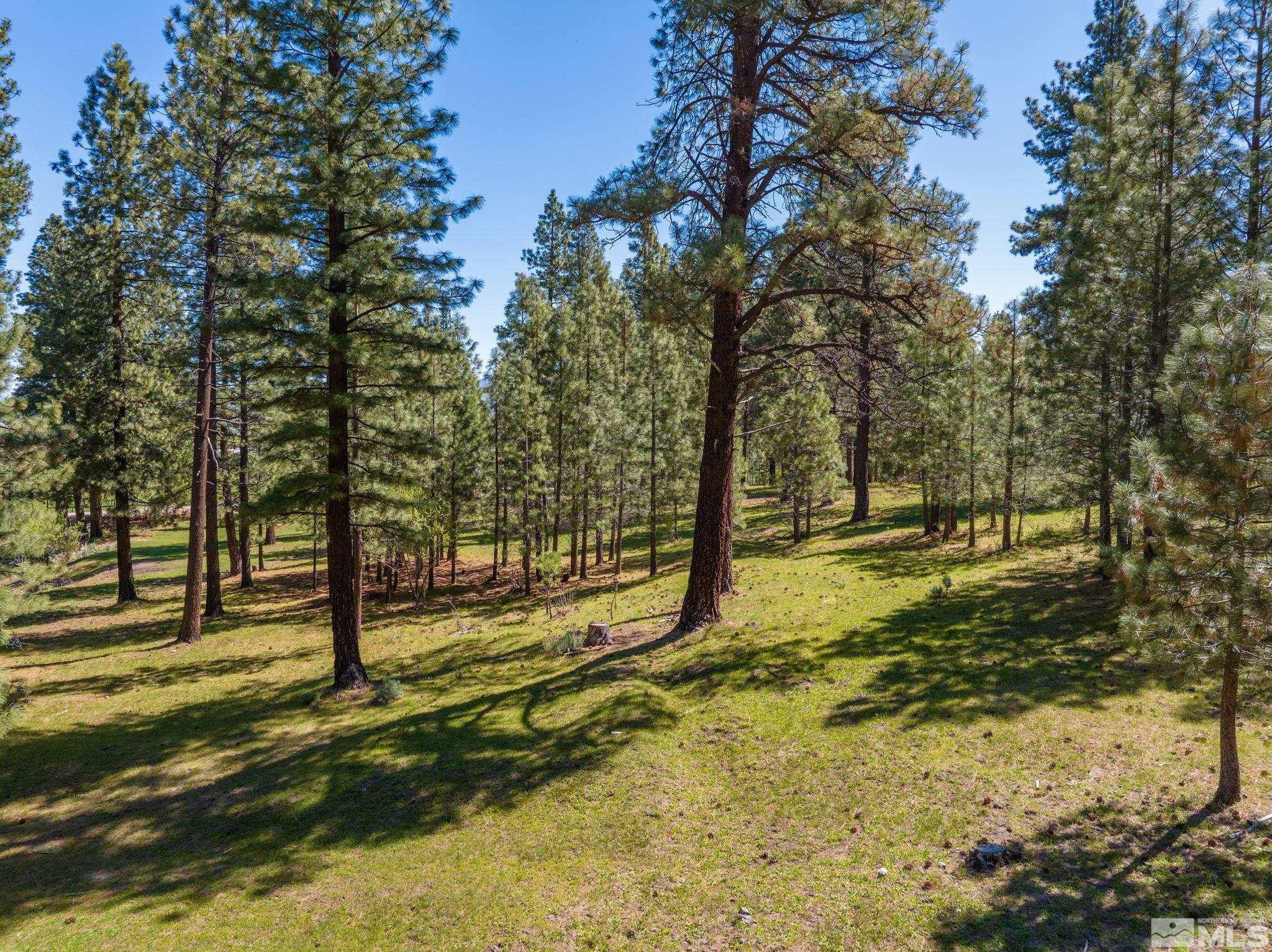 6995 Franktown Road Property Photo 34