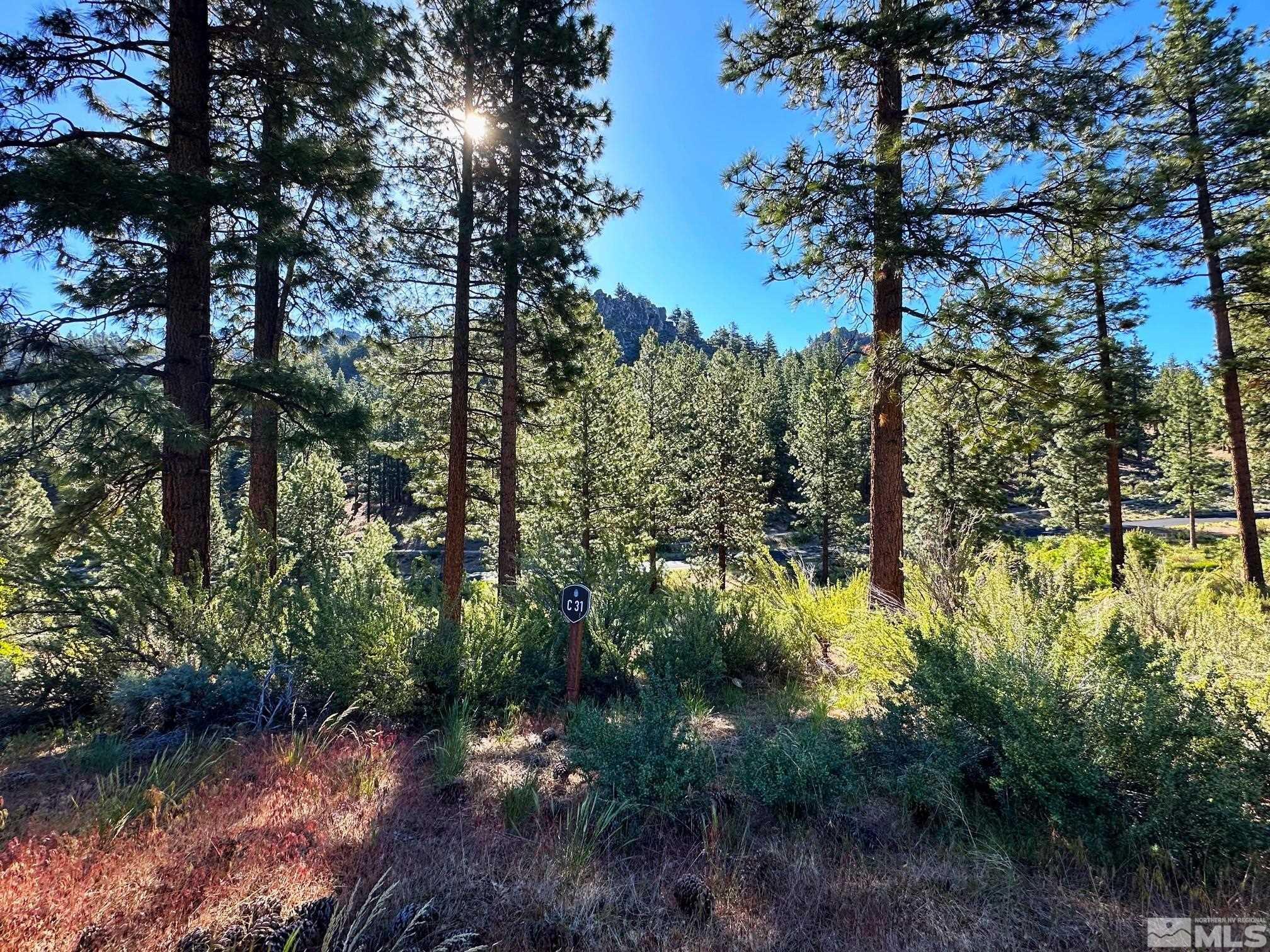 3237 Summit Camp Property Photo 1