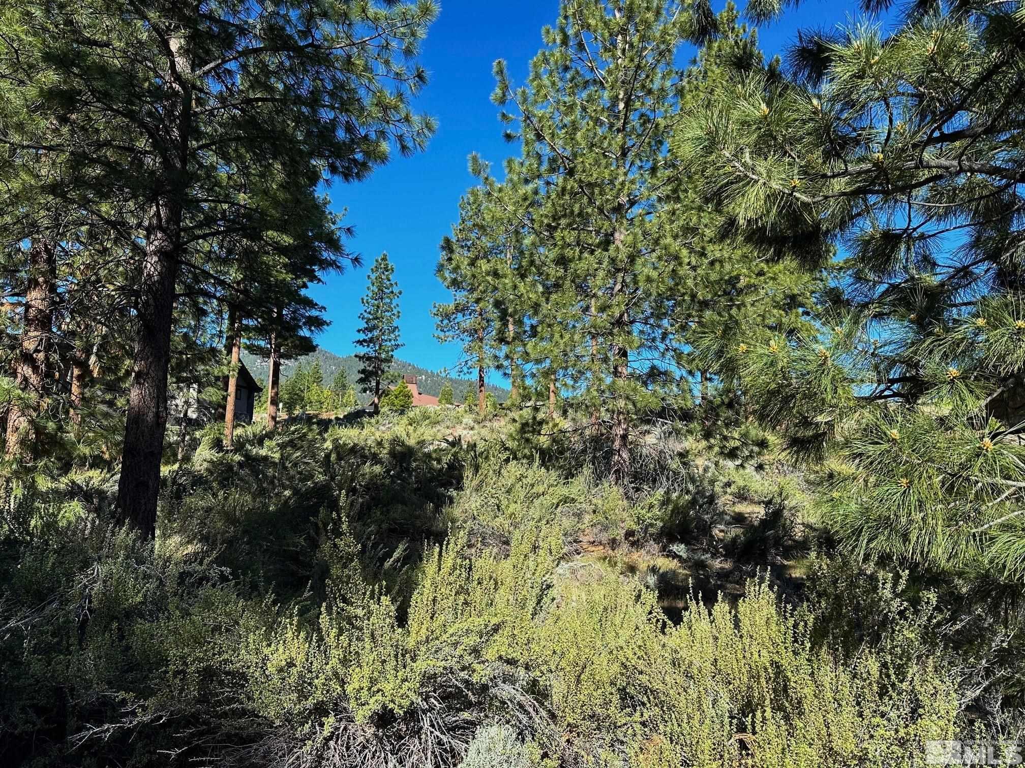 3237 Summit Camp Property Photo 3