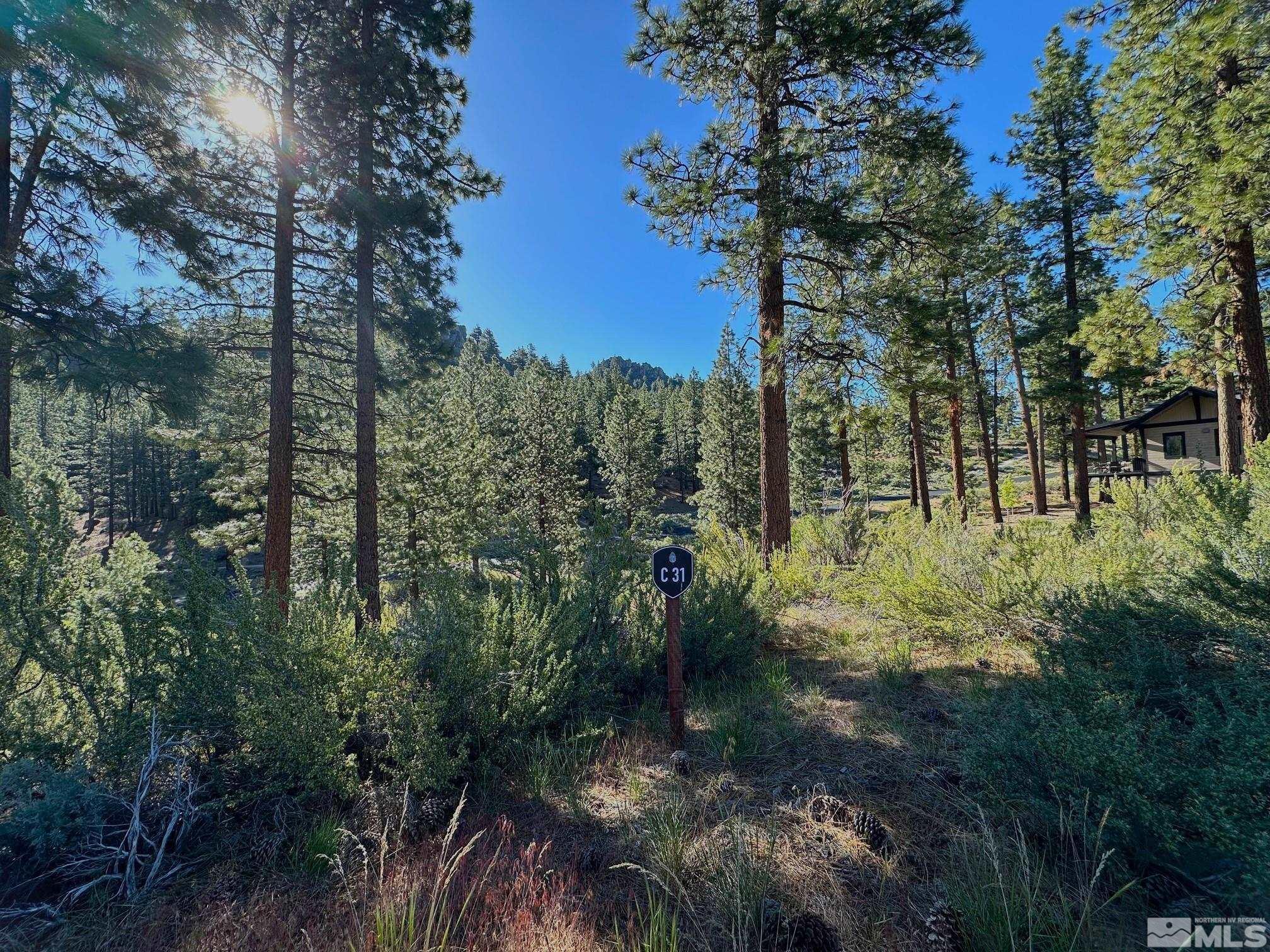 3237 Summit Camp Property Photo 5