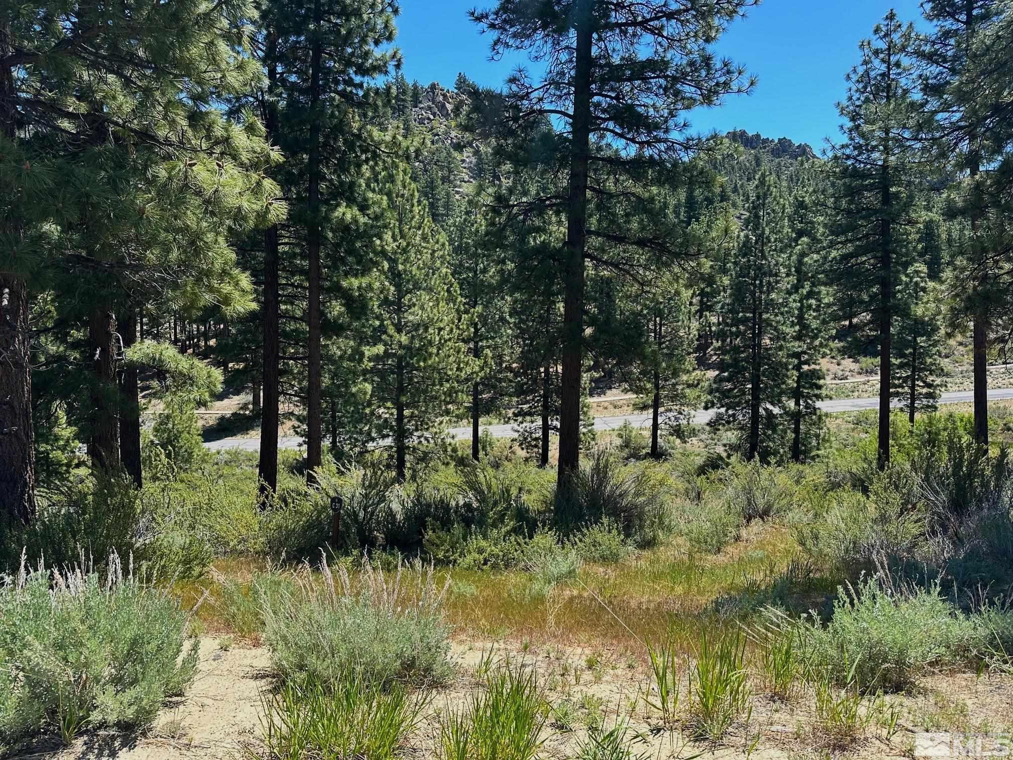 3237 Summit Camp Property Photo 18