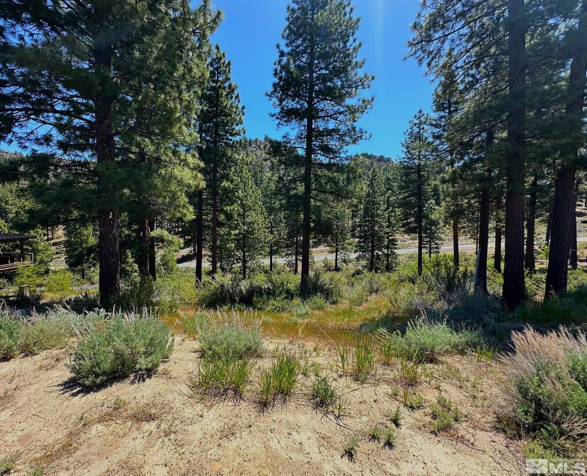 3237 Summit Camp Property Photo 19