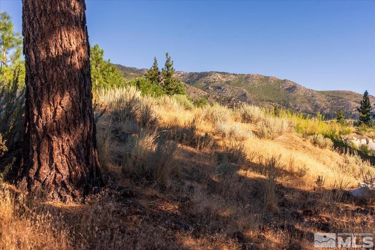 3237 Summit Camp Property Photo 20