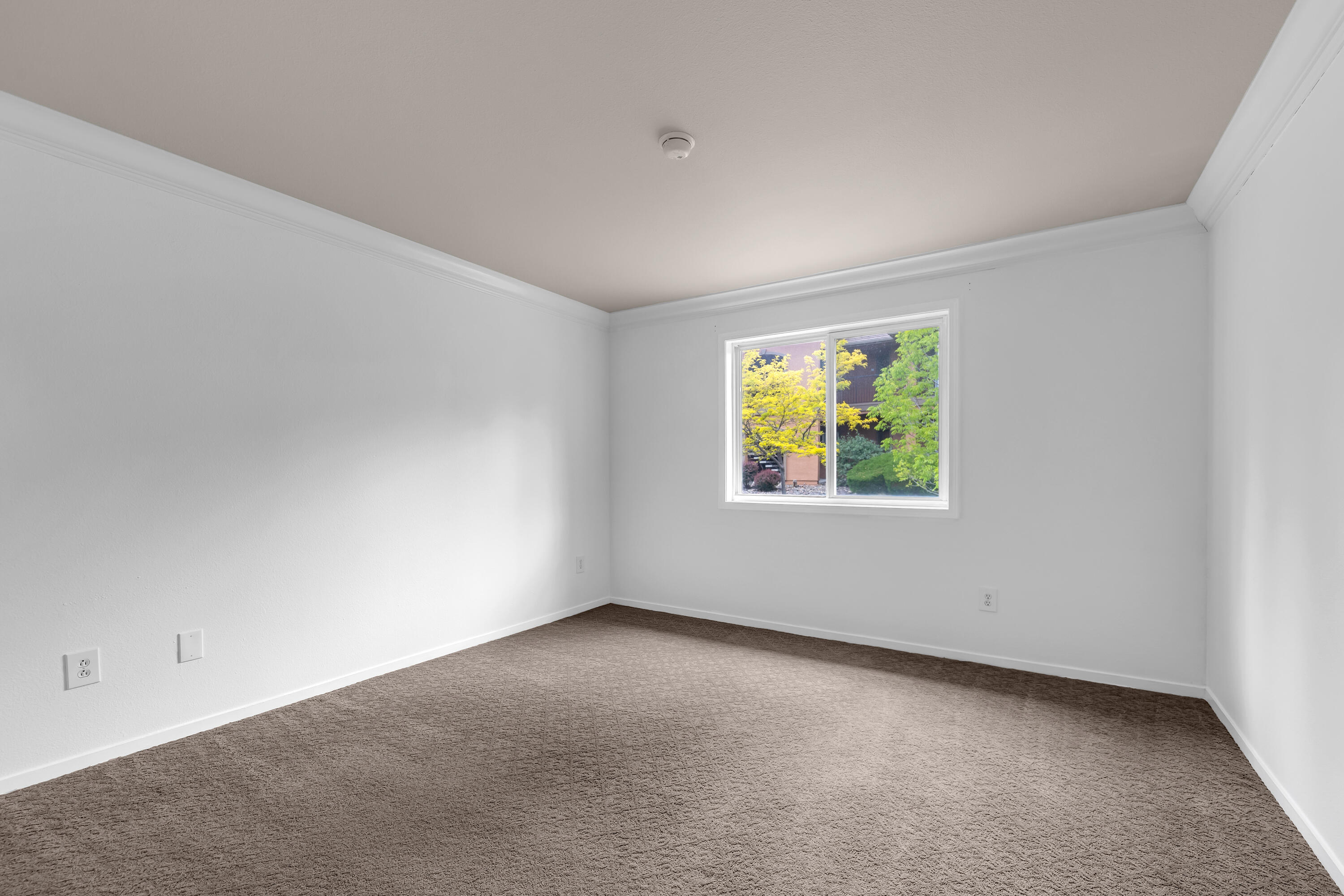 6850 Sharlands Avenue Property Photo 20
