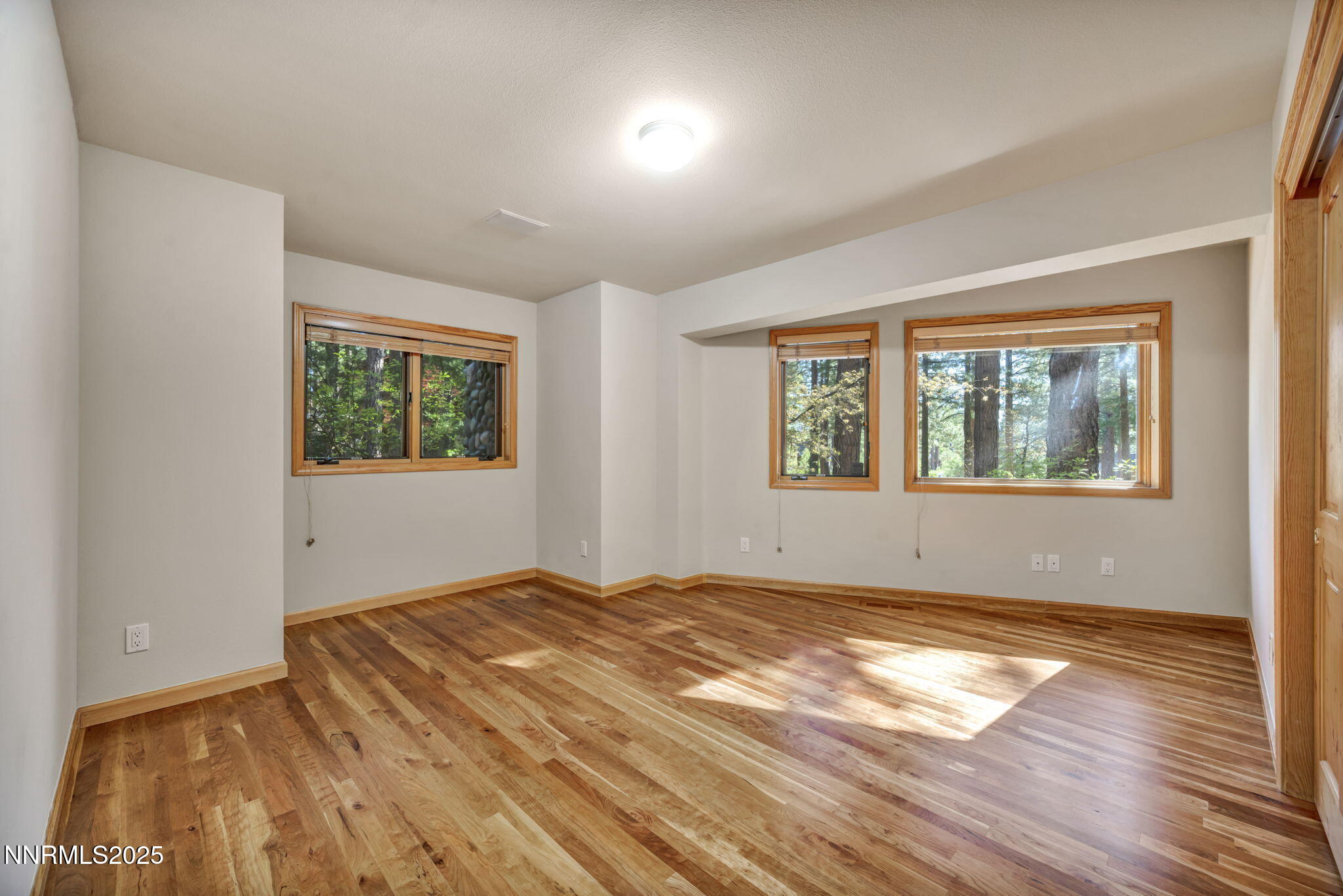 1445 Austrian Pine Road Property Photo 29