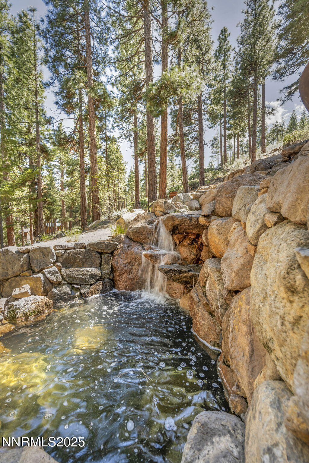 1445 Austrian Pine Road Property Photo 38