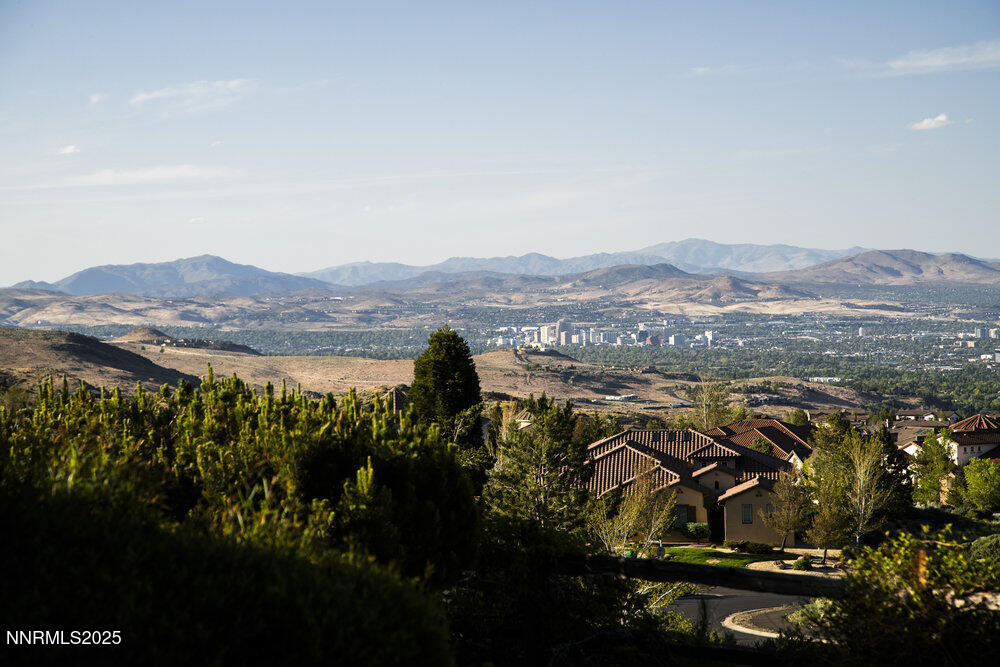10168 Via Fiori Property Photo 3