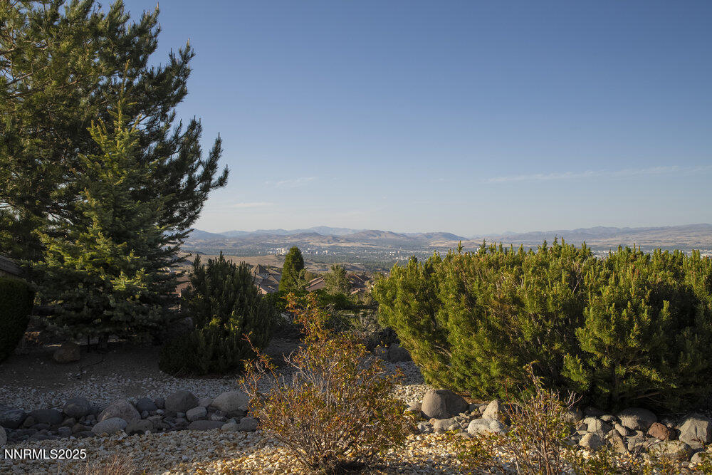 10168 Via Fiori Property Photo 26
