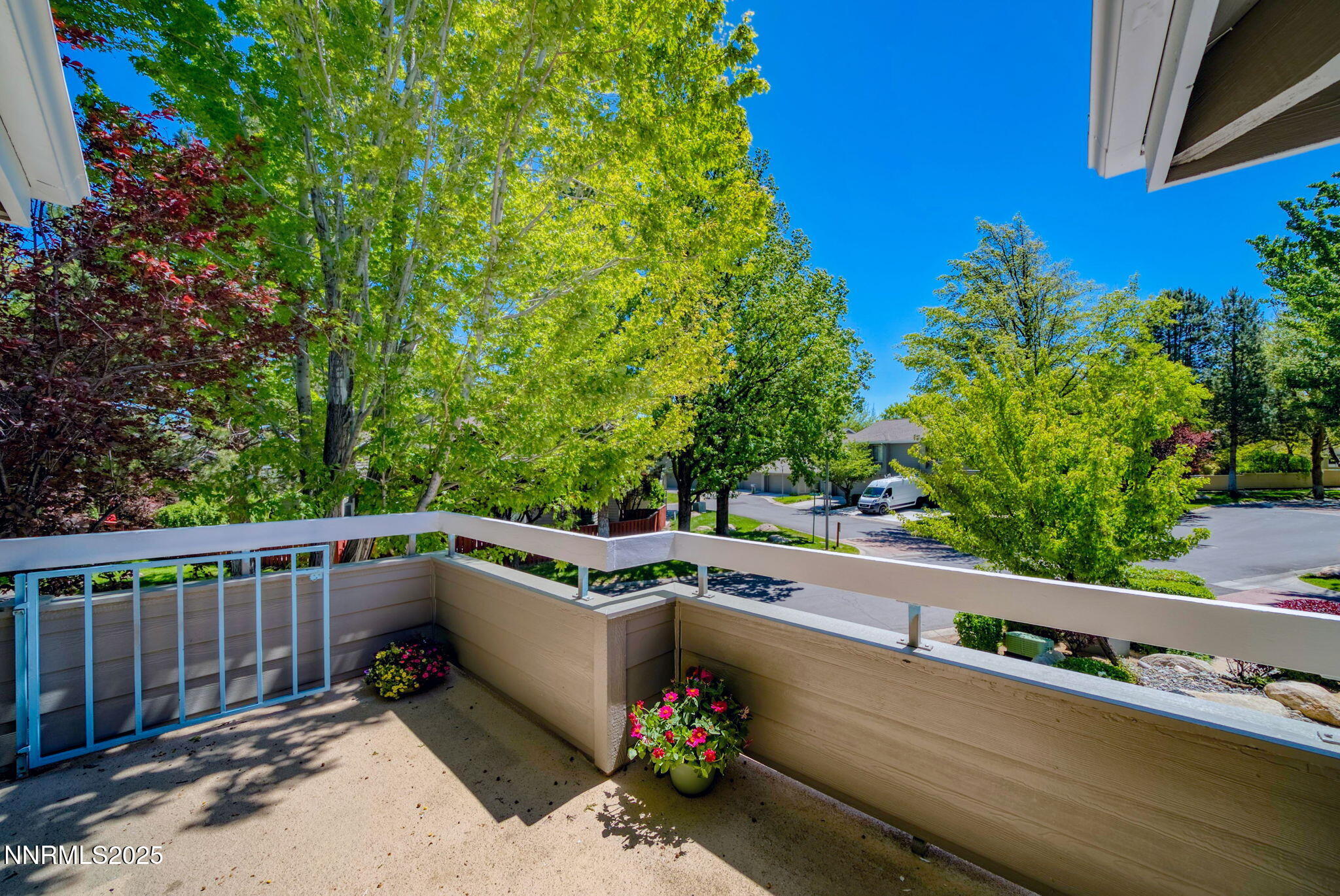 3225 Browns Creek Court Property Photo 5