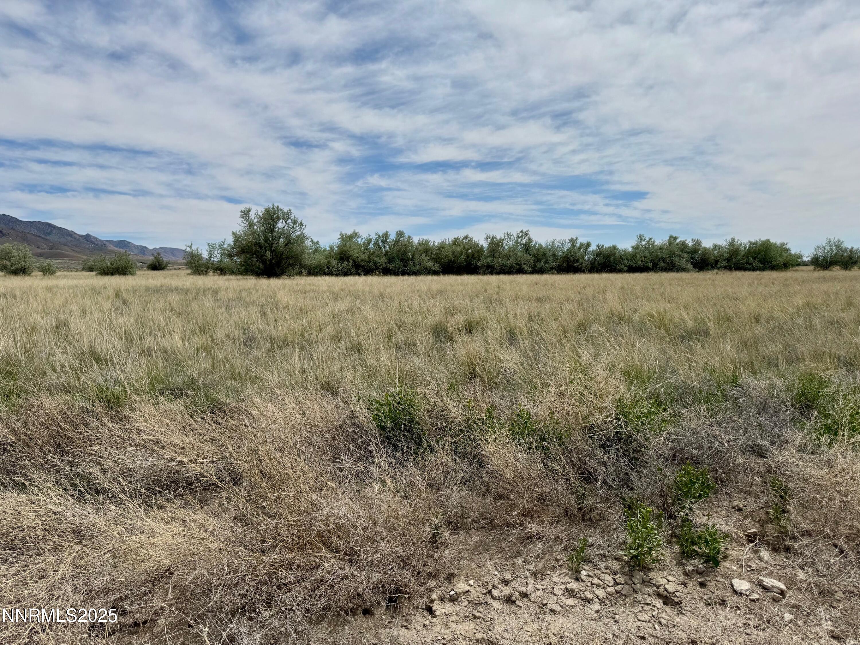 10980 Beaumont Trail Property Photo 2