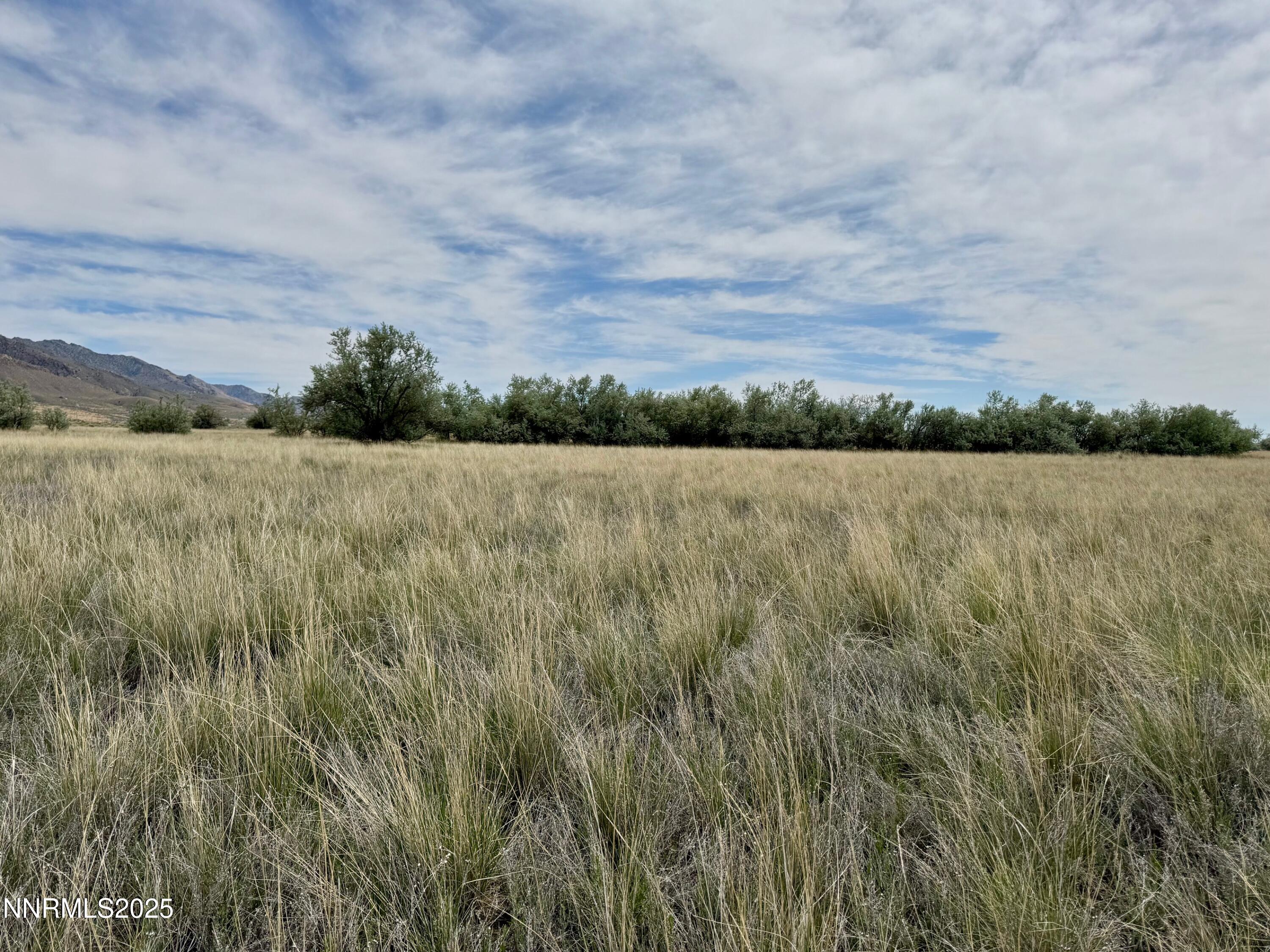 10980 Beaumont Trail Property Photo 4
