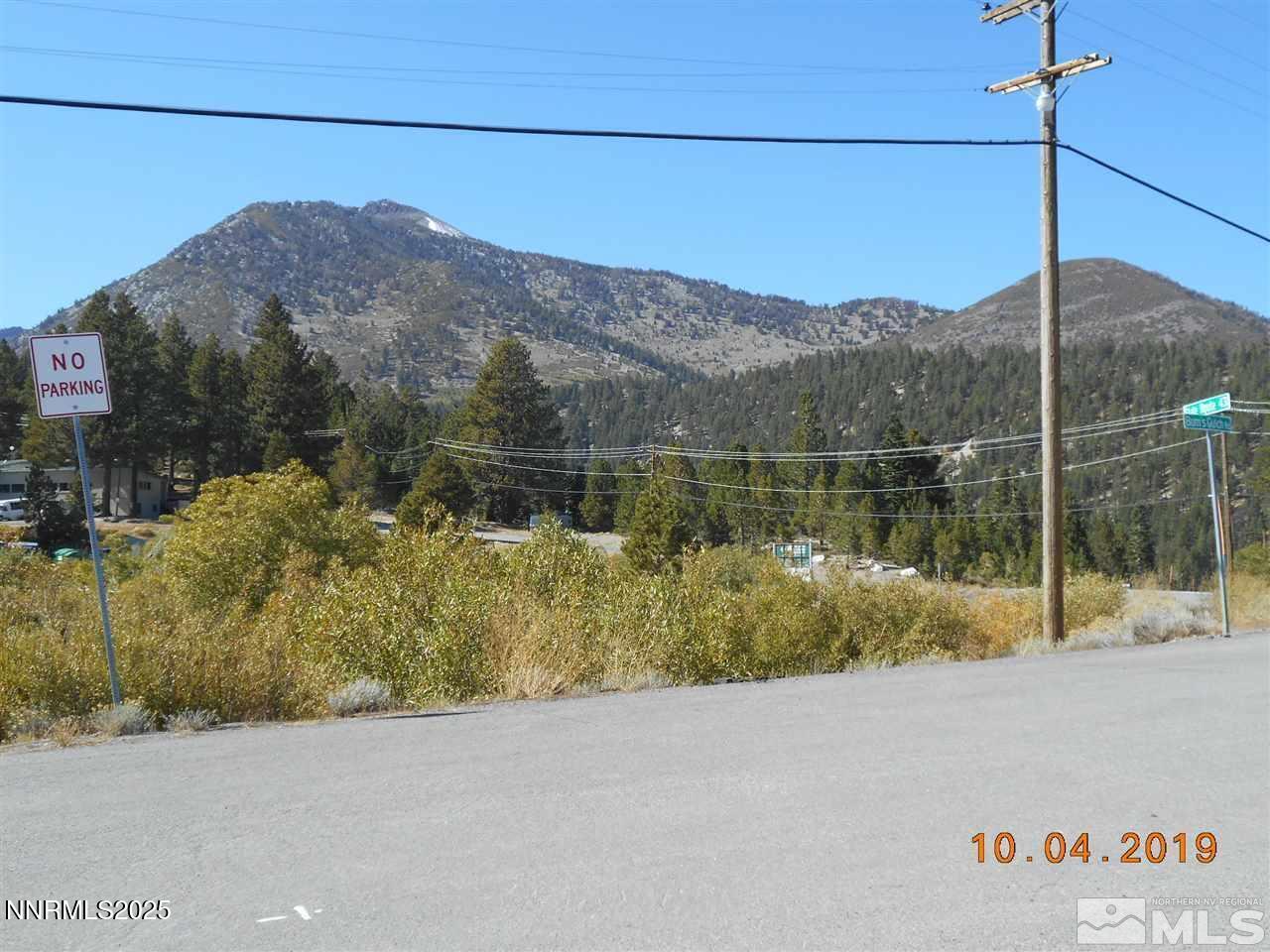 11000 Mount Rose Highway Property Photo 13
