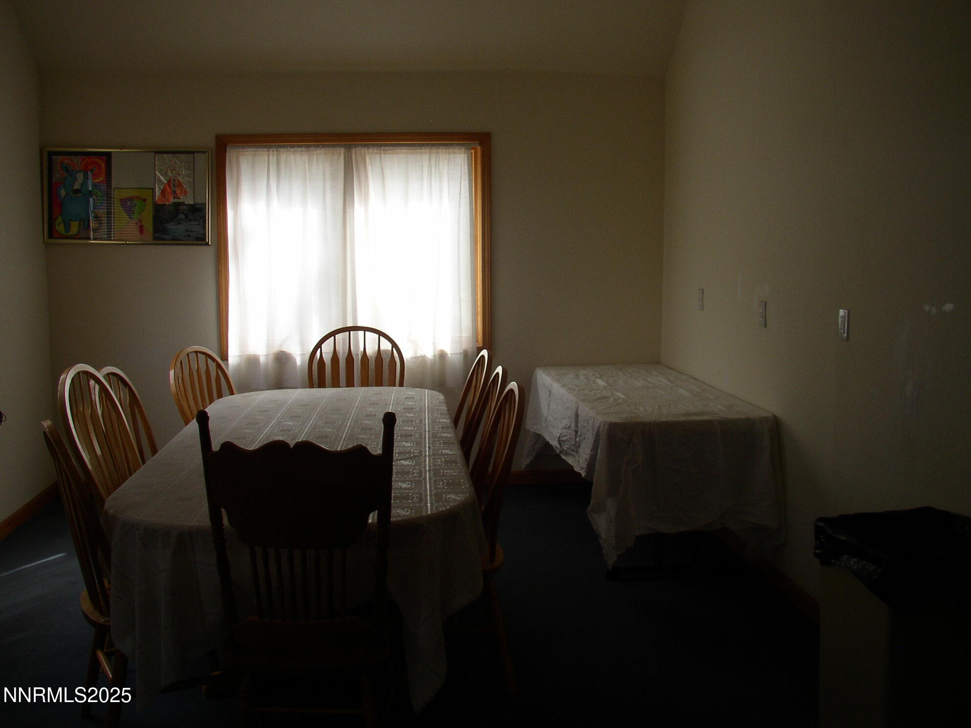 11000 Mount Rose Highway Property Photo 30