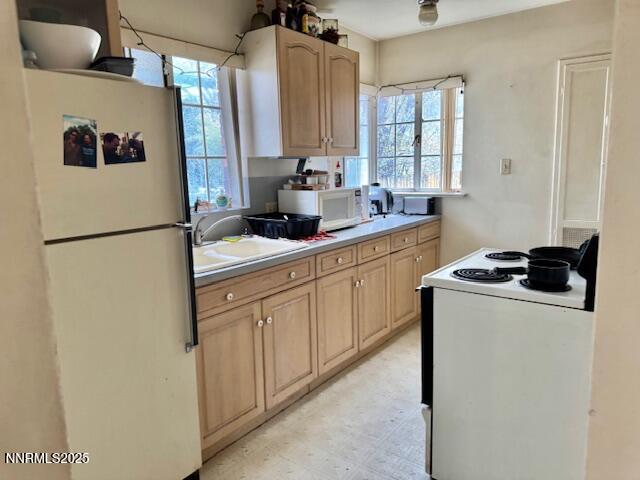 590 St Lawrence Avenue Property Photo 70