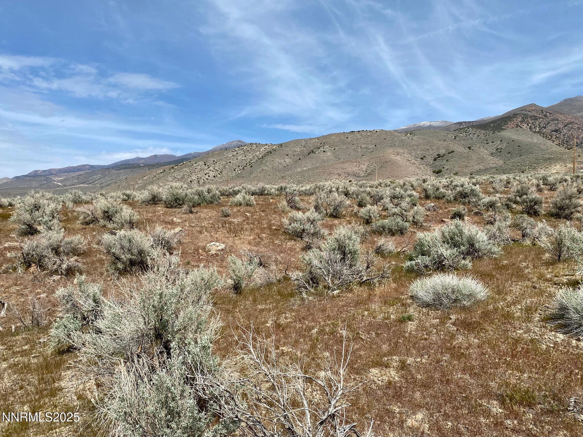 12240 Pershing Trail Property Photo 5