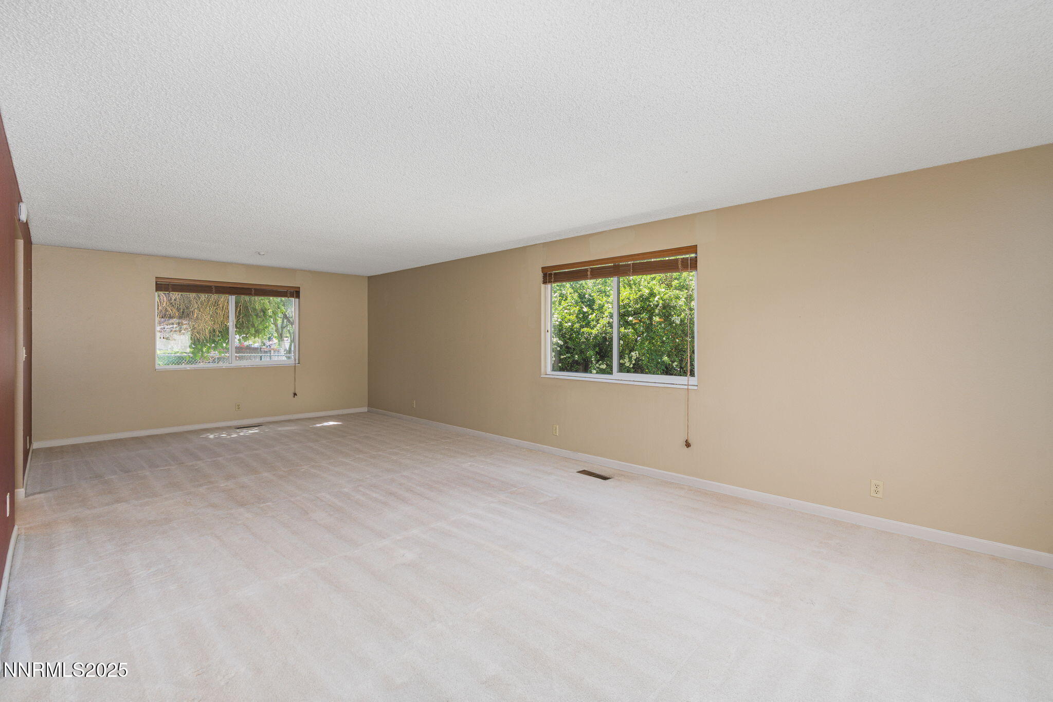 3164 Clan Alpine Drive Property Photo 13