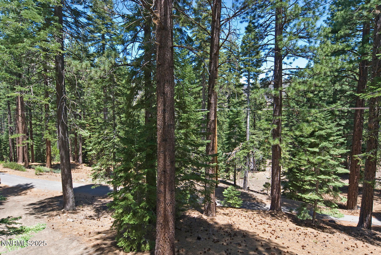 499 Shay Creek Road Property Photo 27