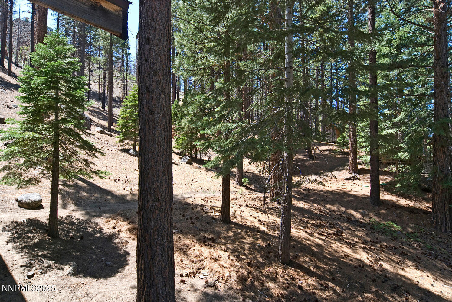 499 Shay Creek Road Property Photo 28