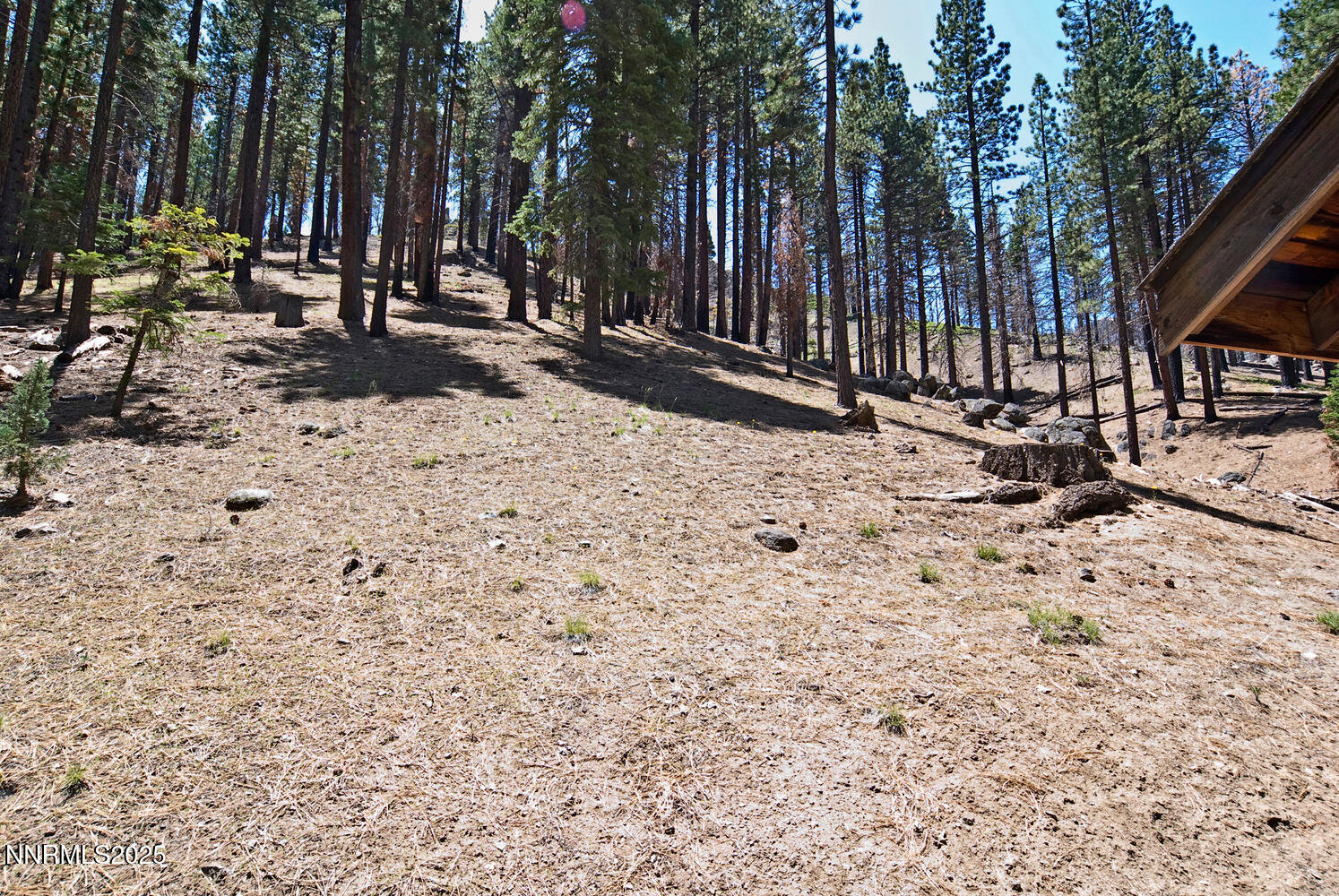 499 Shay Creek Road Property Photo 29