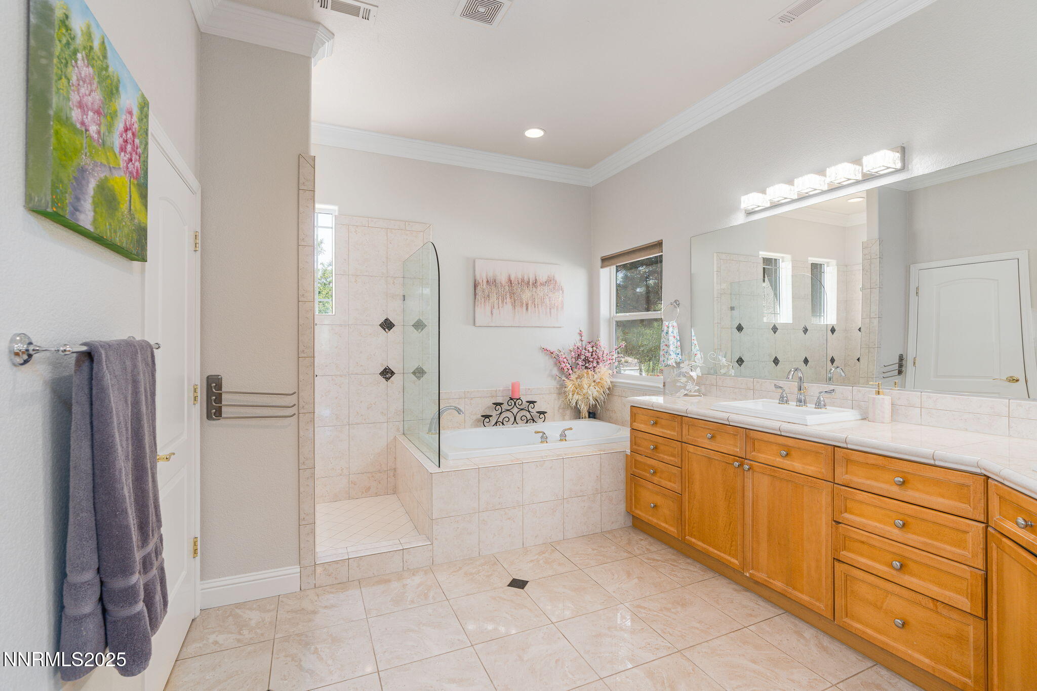 11785 Anthem Drive Property Photo 22