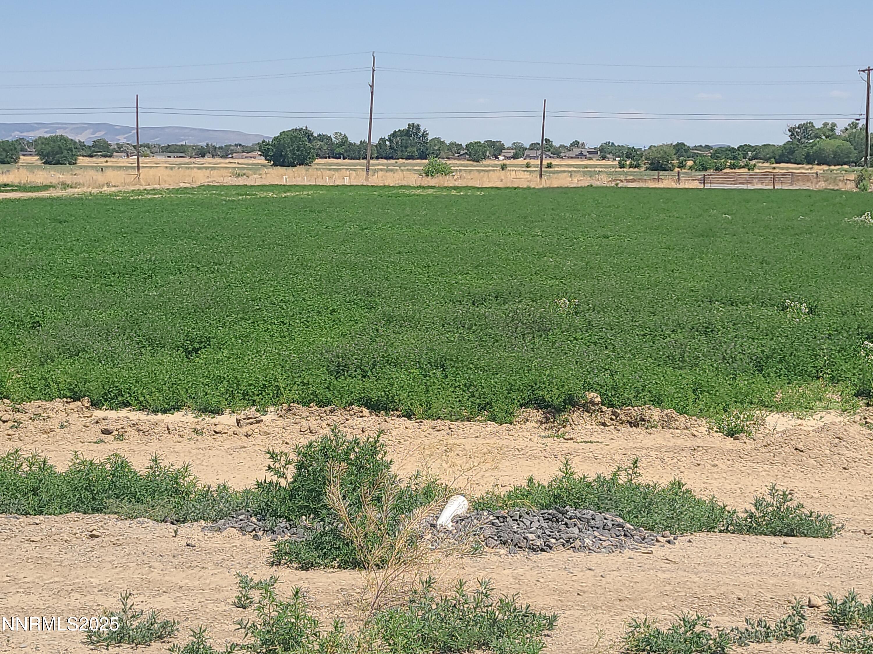 900 Cattle Drive Property Photo 17