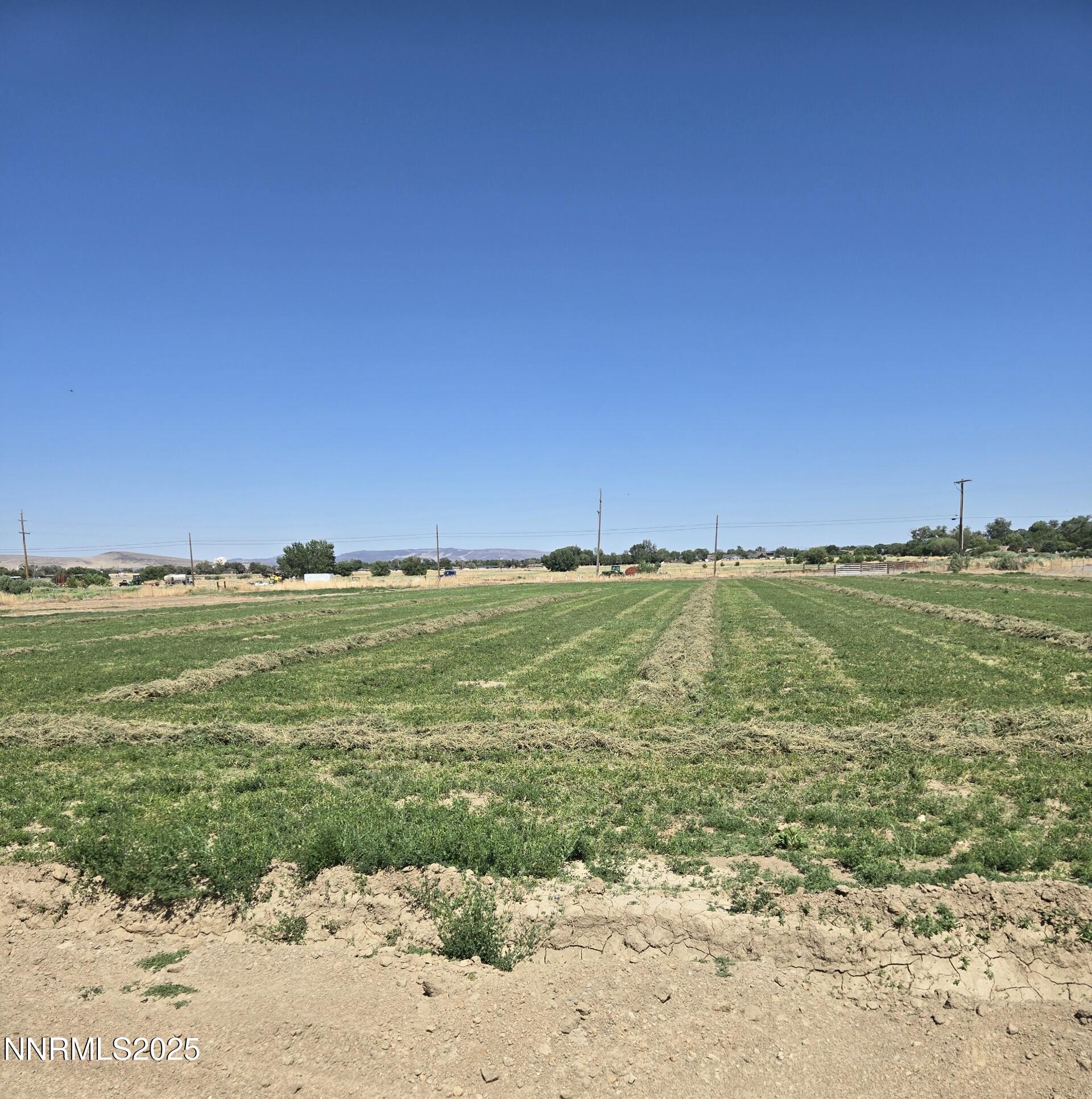900 Cattle Drive Property Photo 18