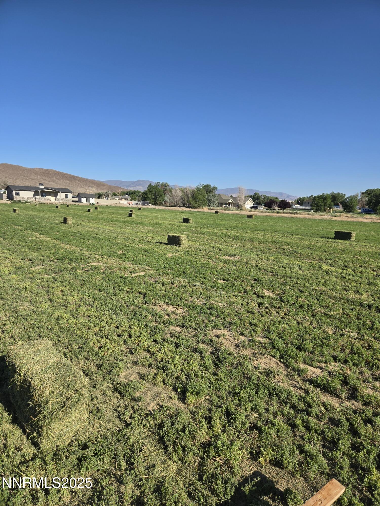 900 Cattle Drive Property Photo 19