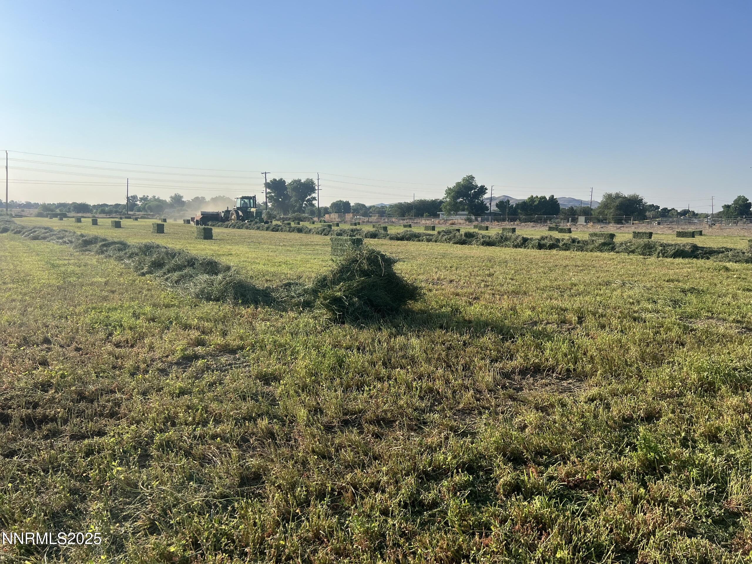900 Cattle Drive Property Photo 20
