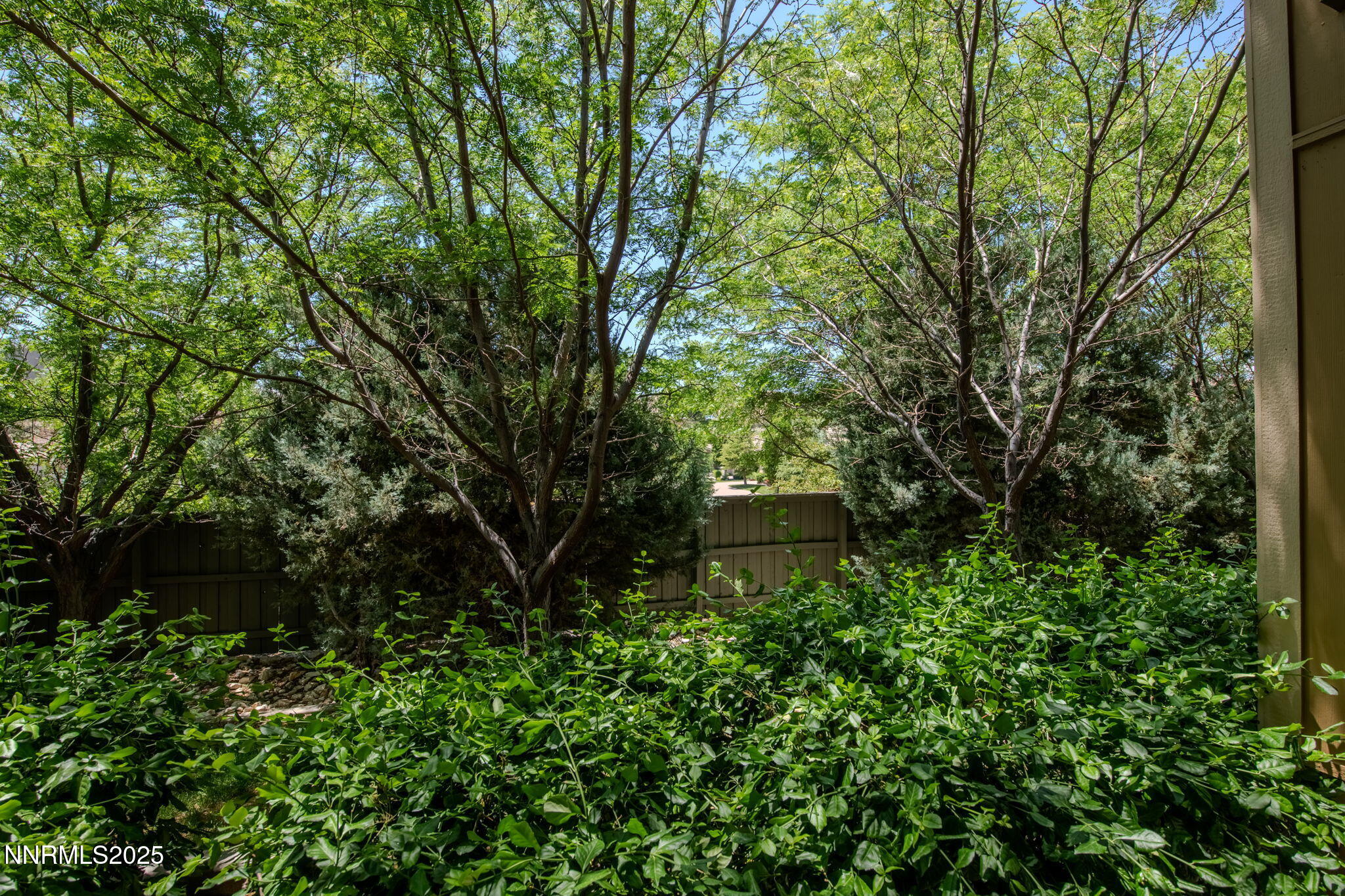 4841 Bougainvillea Circle Property Photo 23